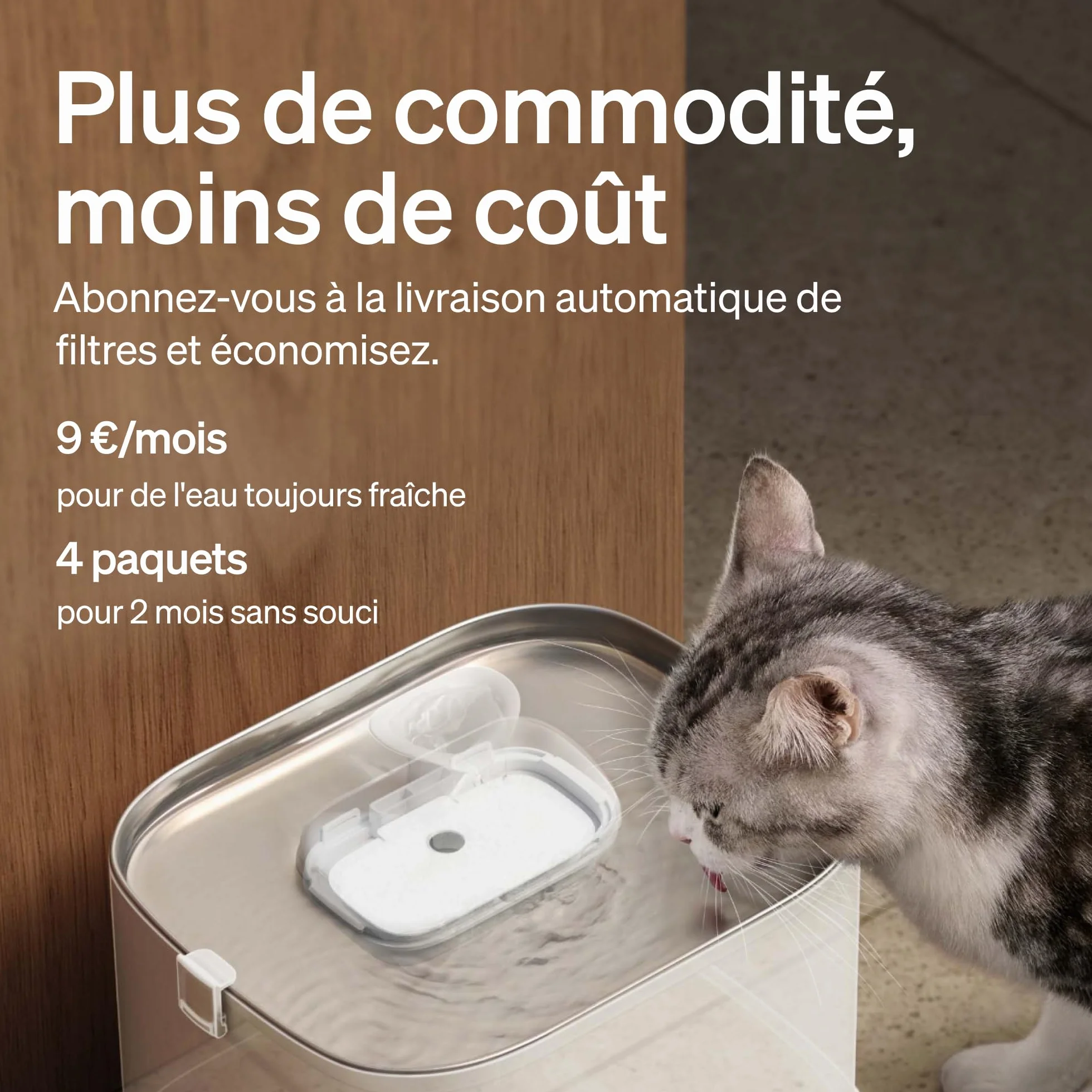 PETLIBRO Filtre Fontaine Eau Chat, Pack de 4 Filtres de Remplacement pour Dockstream PLWF005, PLWF115, PLWF105