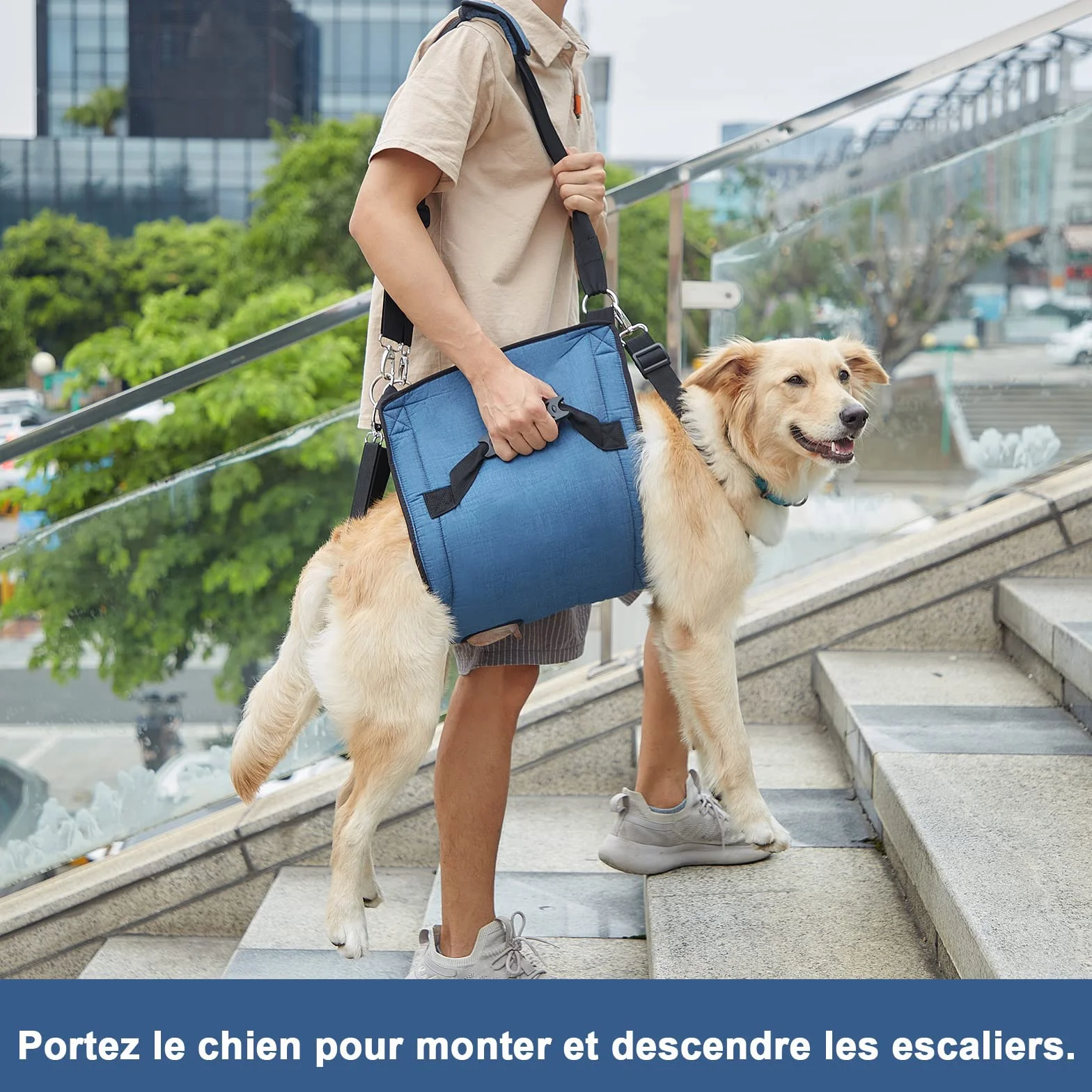 COODEO Porteur pour Chien Sling, Sac à Dos d'urgence pour Soutien des Pattes, Harnais de Levage pour Chiens âgés arthrite (XL, Bleu)