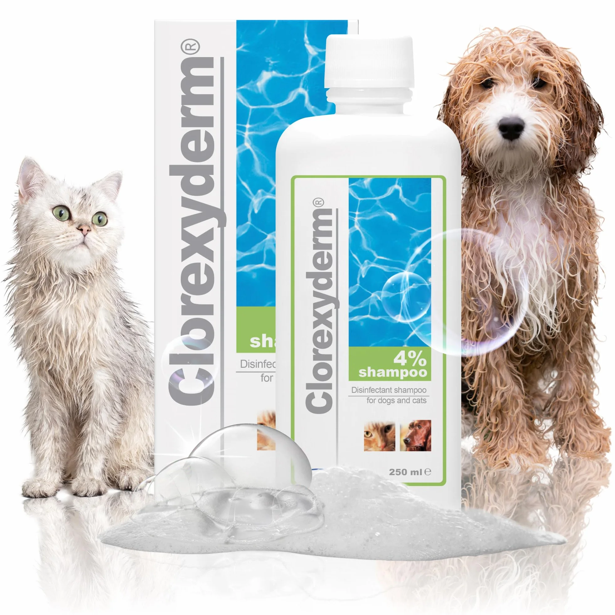 ICF | Clorexyderm 4% Shampoing Chien | Shampooing Chien Antiseptique, Hydratant et Anti Odeur pour Chien et Chat | Assainit, Hydrate et Protège la Peau | 250ml
