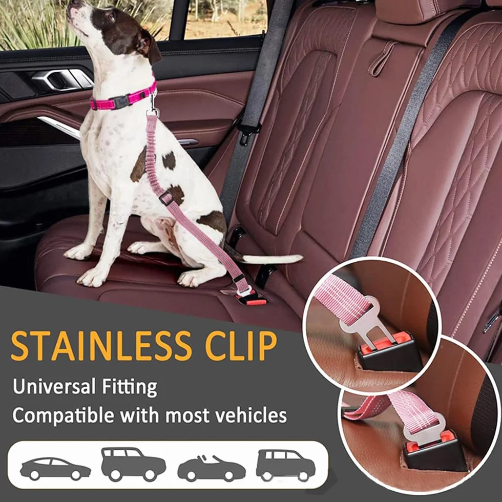 Laisse Élastique Réglable Ceinture Sécurité Voiture Chien Harnais Ajustable Protection Automobile Animaux Compagnie Nylon Résistant Boucle Robuste