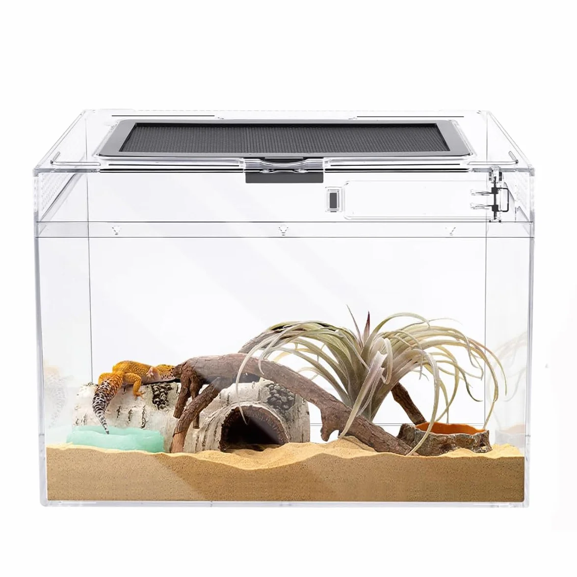 Terrarium pour Reptiles 40x20x25cm Acrylique Transparent avec Trous d'air
