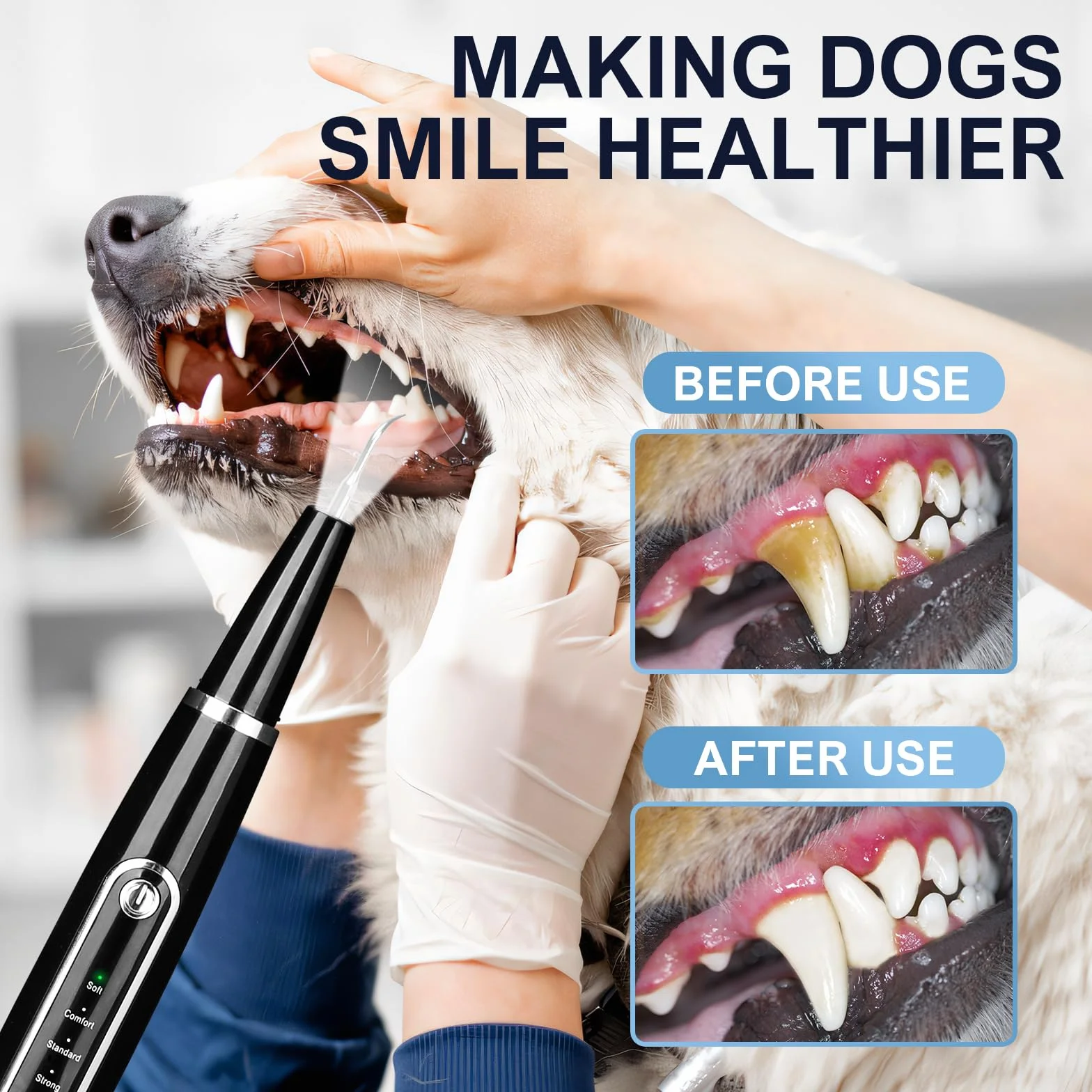 Professionnel Detartreur Dentaire Ultrason Chien Chat IPX6 Anti Tartre Mauvaise Haleine Nettoyage Gencives