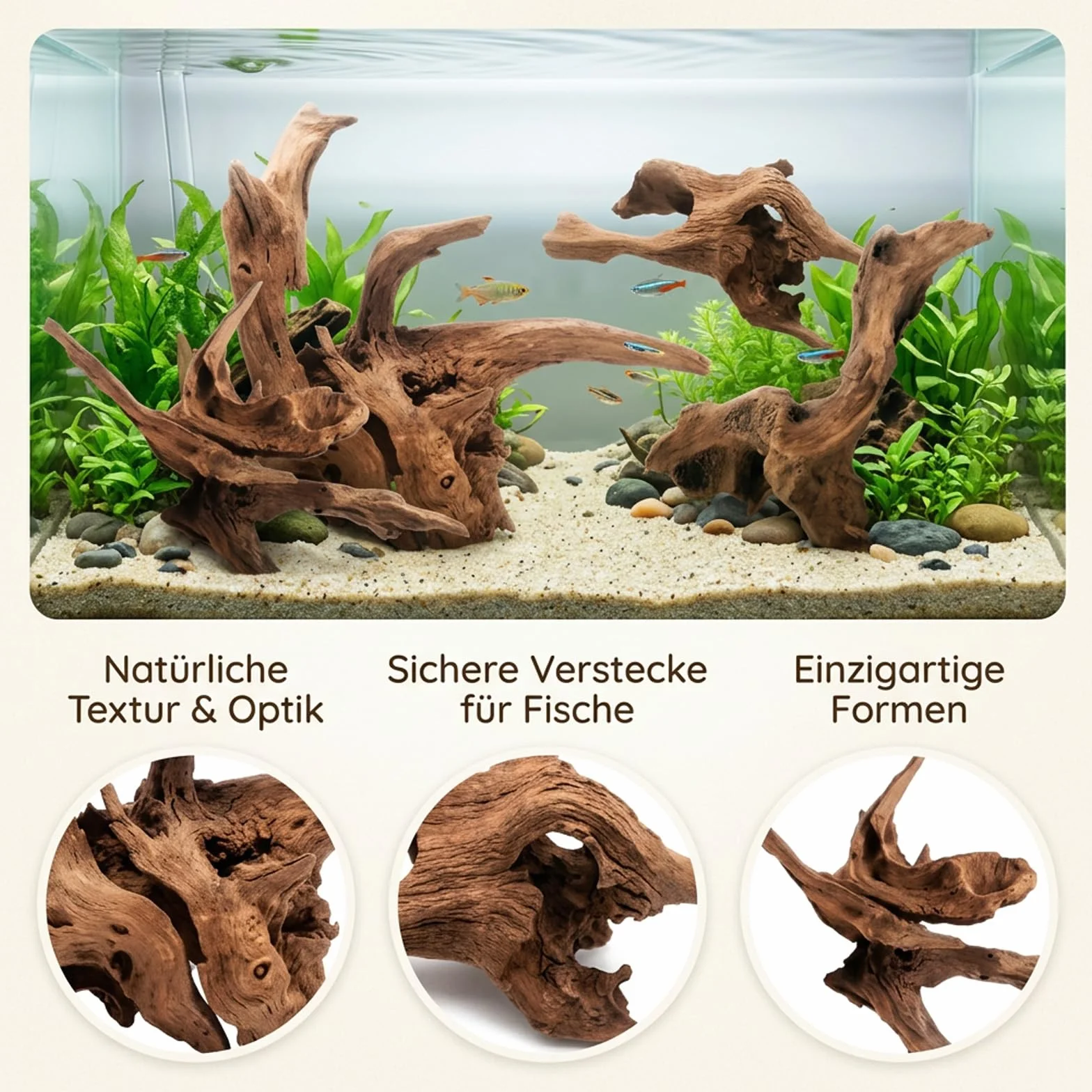 Bois Flotté pour Aquarium 4 Pièces Racine Naturelle Décoration Paysage Aquatique 5-10CM 10-15CM