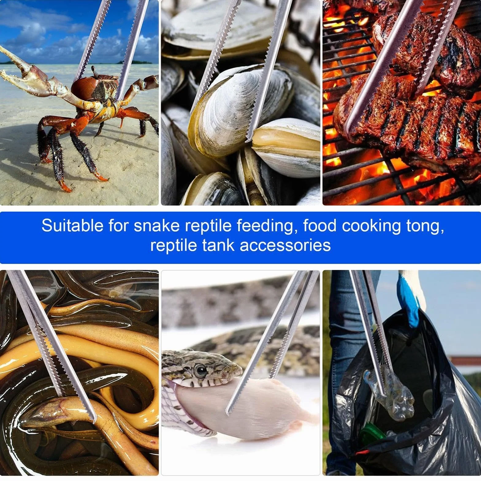 Pinces À Nourrir Les Reptiles - Pinces À Nourrir Les Serpents | Pince d'alimentation pour Reptiles en Acier De 15 Pouces, Outils D' pour Tenir Le Ver, Pince d'alimentation pour Reptiles en