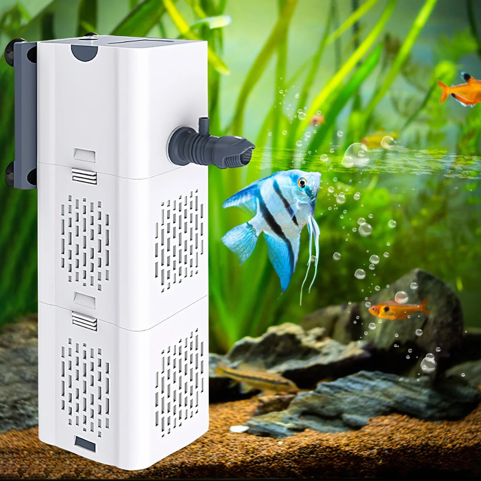 Filtre Intérieur d'Aquarium 60 L Avec Pompe - Système de Filtration Pour Crevettes