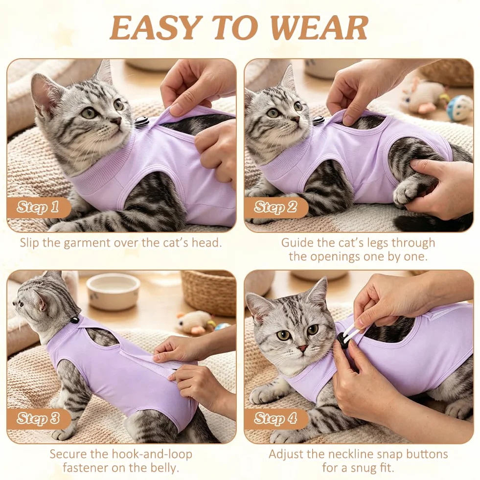 OFFCUP Gilet de Récupération Chat 2 PCS Protection Léchage Plaies Abdominales Violet
