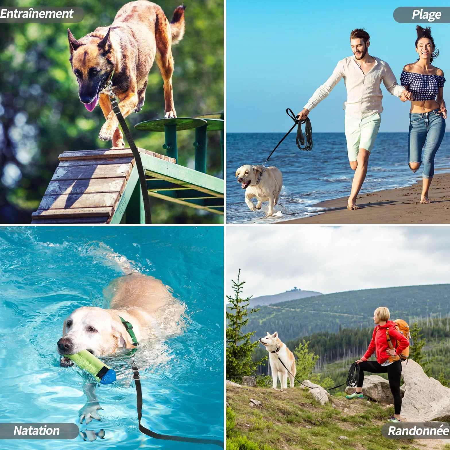 Longe pour Chien 10m Ajustable avec Poignée Rembourrée et Rac de Rangement