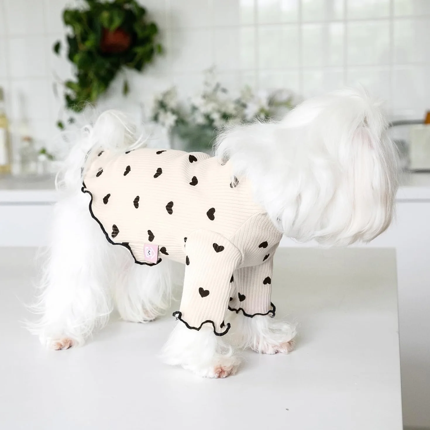 Chemise Extensible à Volants pour Petits Chiens Chats Été Automne Chihuahua Schnauzer Shih Tzu Yorkshire Taille S Café