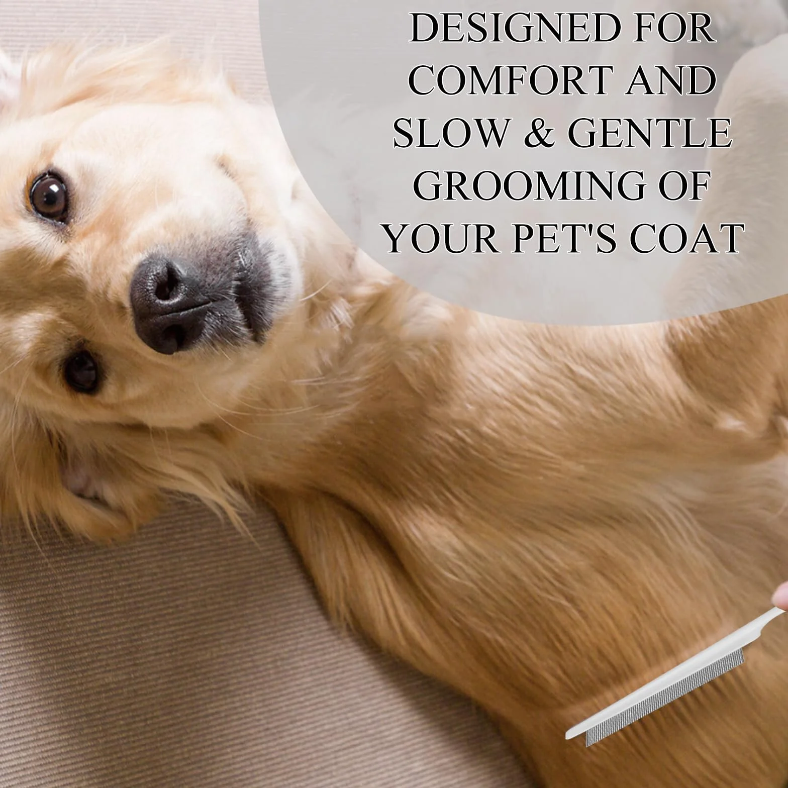 FlyWave Peigne Anti-Puces pour Chien et Chat, Démêle et Nettoie Poils Longs et Courts