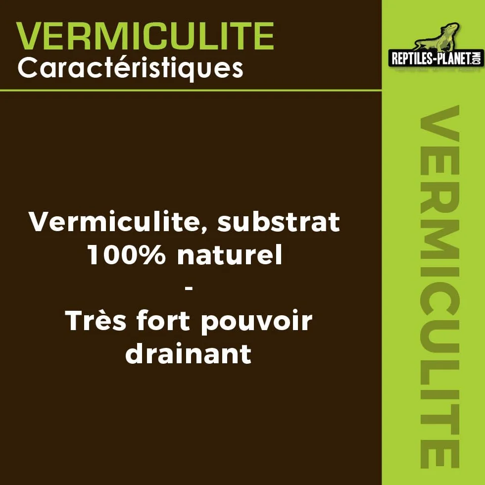 Reptiles Planet Vermiculite Substrat d'Incubation pour Reptiles 0,3-4 mm 6 Litres