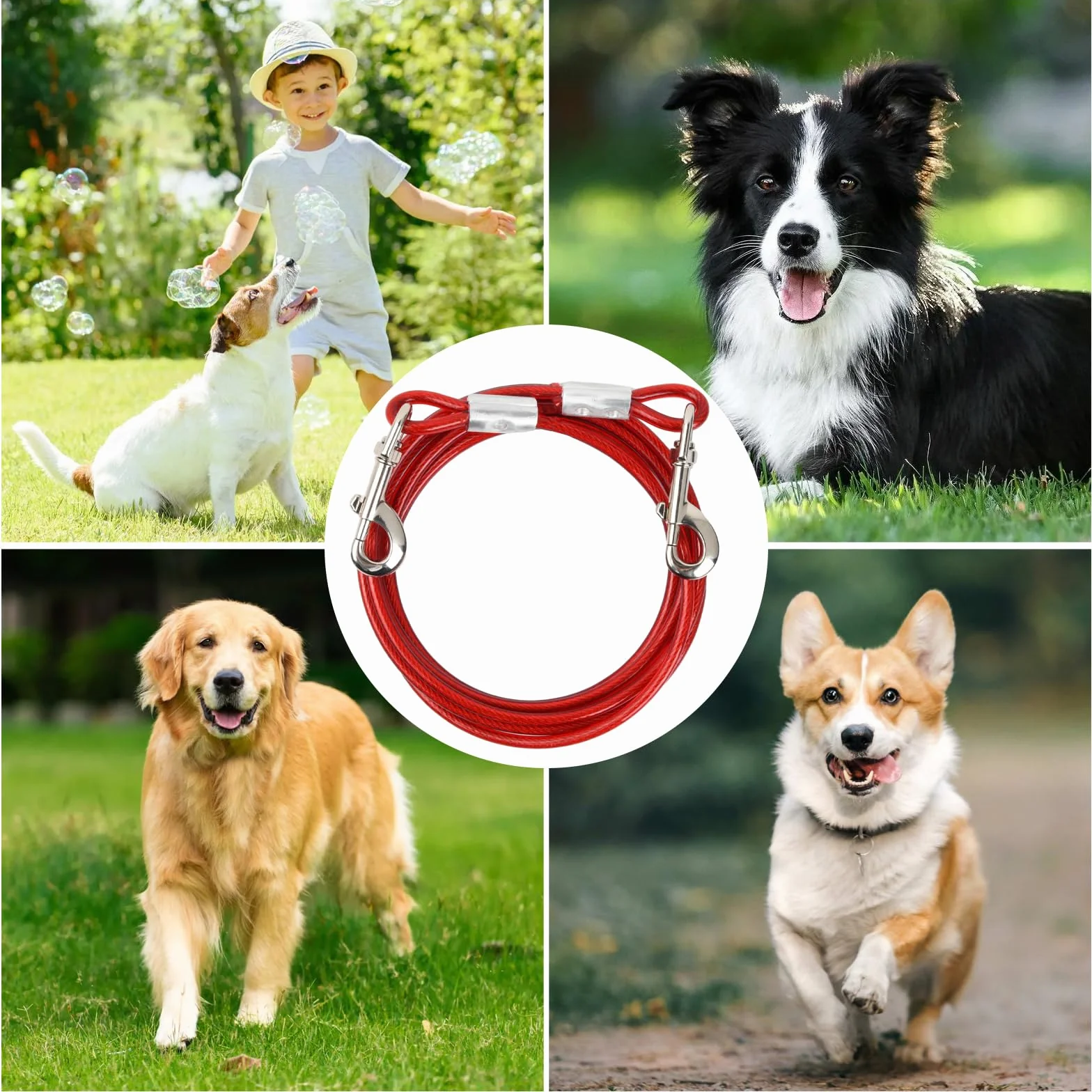 Câble d'attache Chien 3 m Métal avec Crochet Pivotant Revêtement PVC Anti-Morsure Chaîne de Sécurité jusqu'à 250 kg Blanc