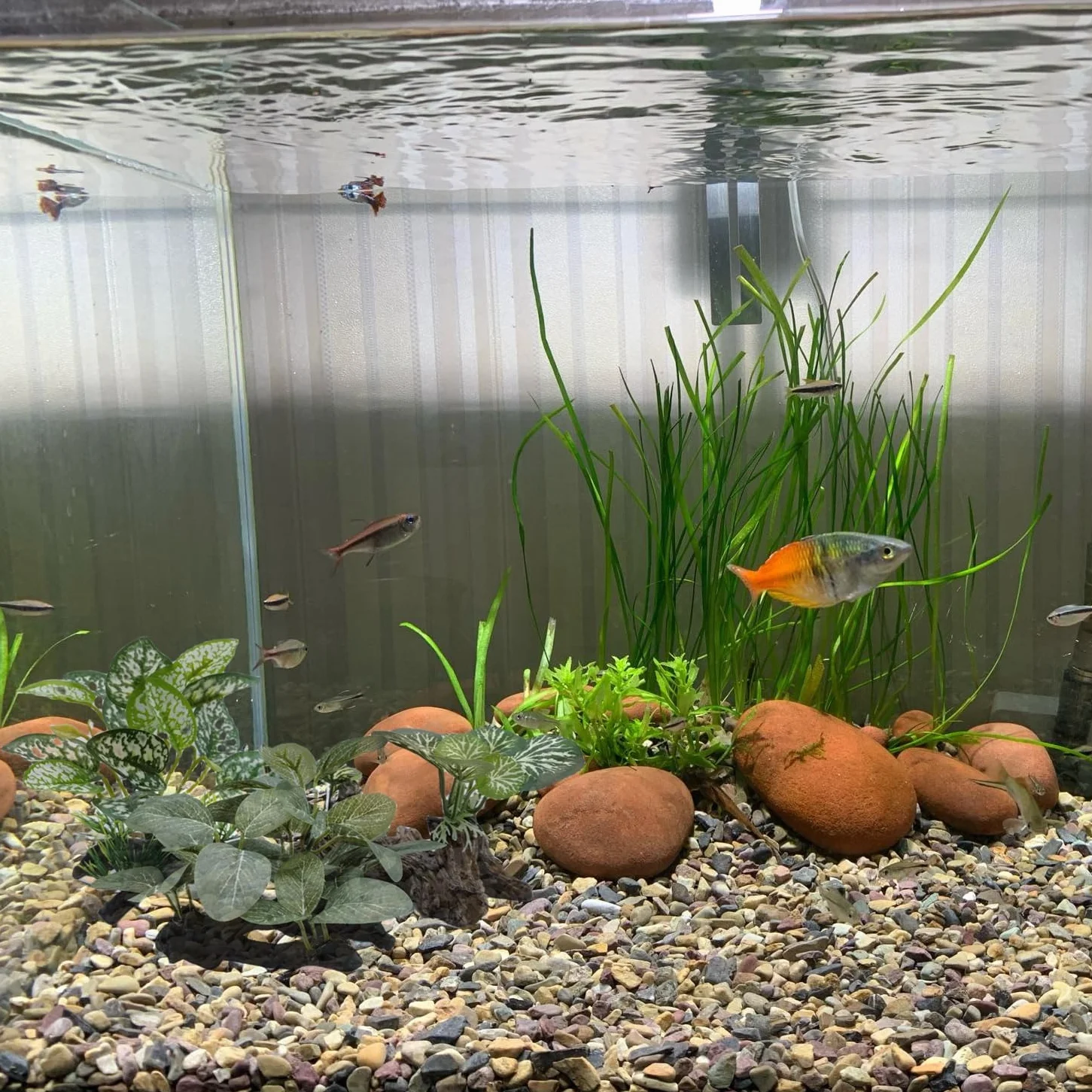 Plantes Artificielles en Soie pour Aquarium - Herbe Aquatique Décoration Premier Plan (3 Herbes Vertes)