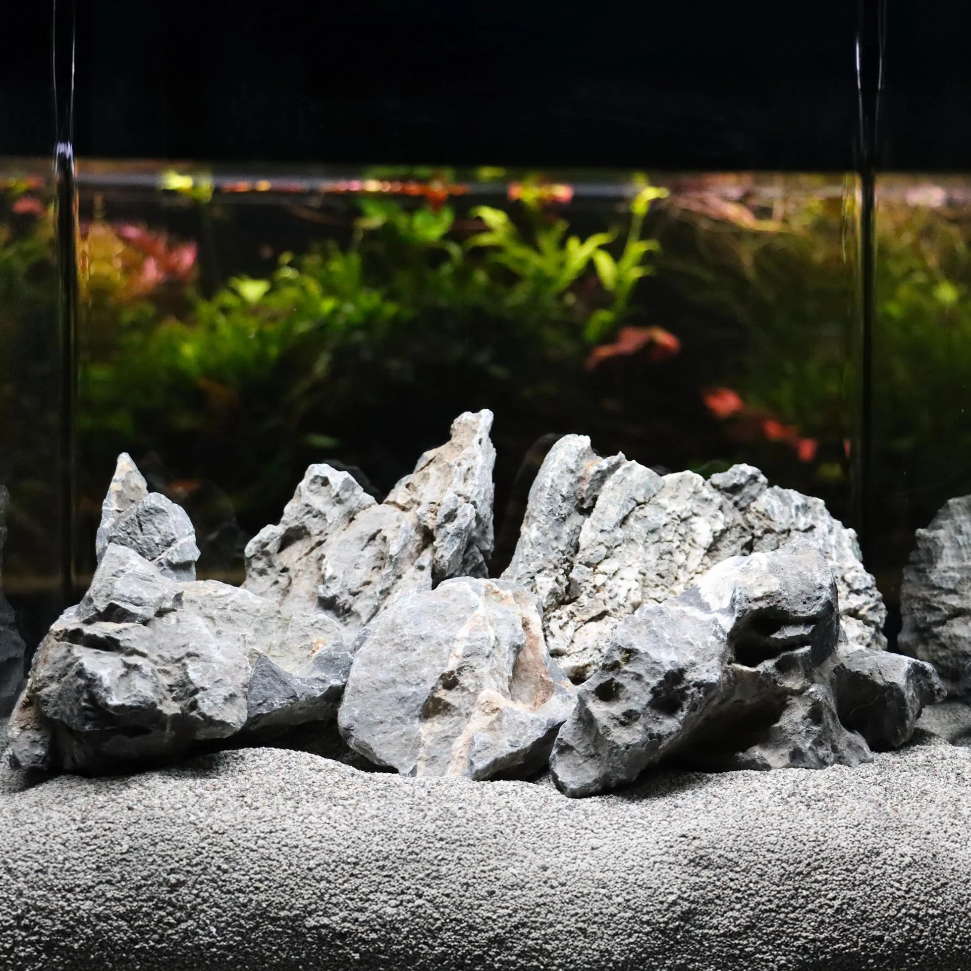 Amtra Rock Dragon Pierre Aquarium Décoration Calcaire Naturel 1 kg