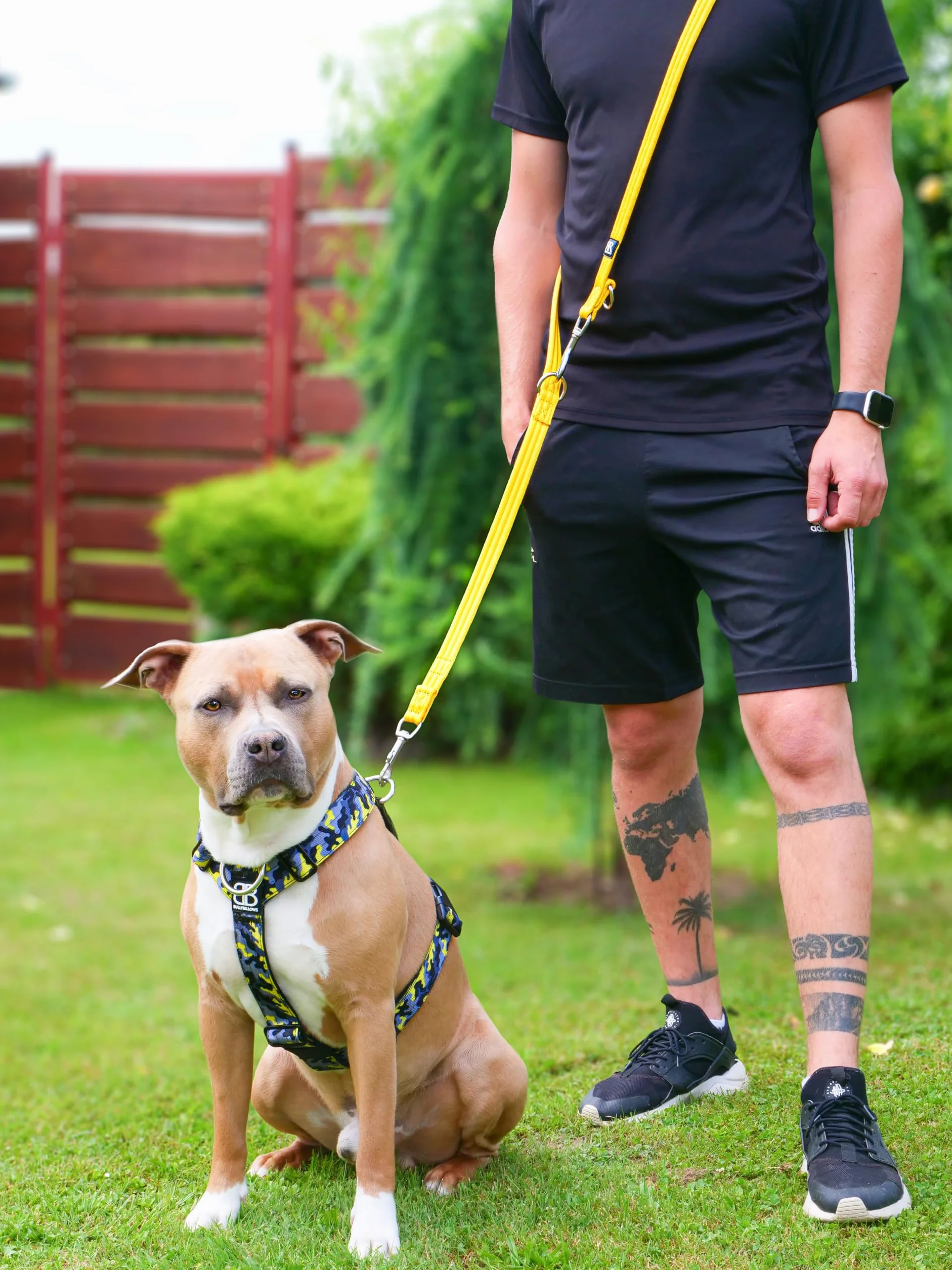 BullyBillows Laisse multifonction à double extrémité pour chien - Longueur moyenne ou longue - Kaki