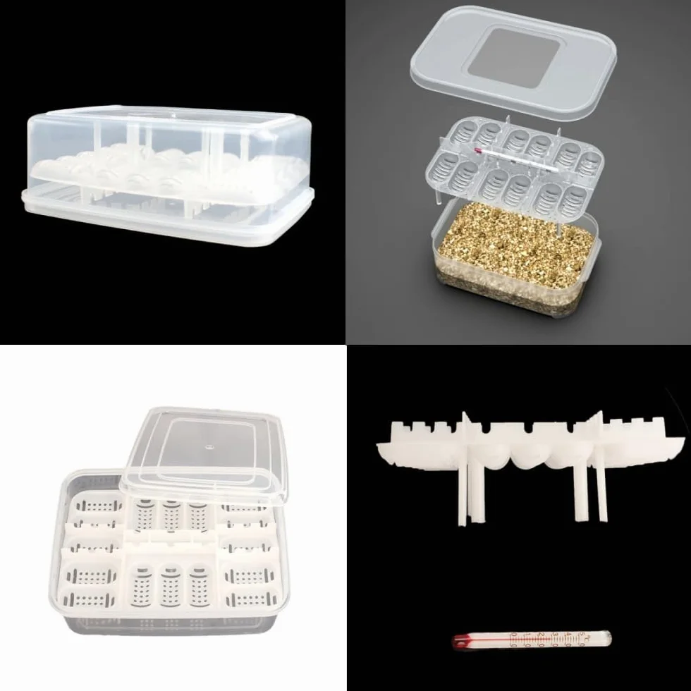 Incubateur Reptiles Boîte d'Élevage Transparente 16 Grilles pour Œufs Serpents Lézards Amphibiens