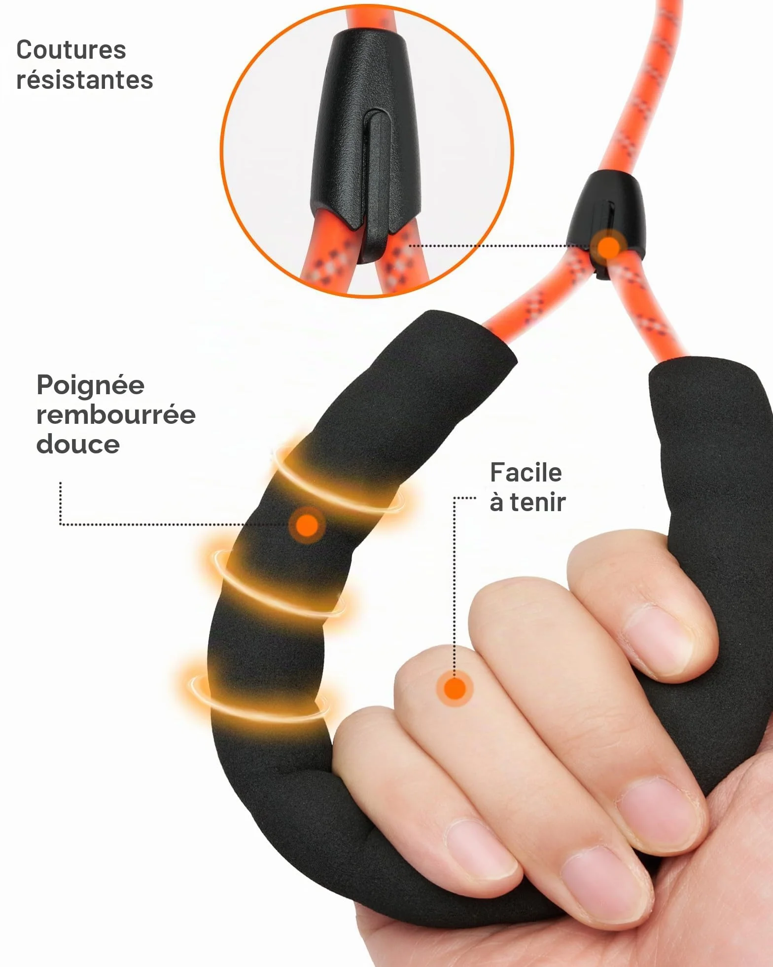 Laisse pour Chien - Imperméable et réfléchissante pour la sécurité - Légère, Solide et Robuste - Laisse d'entraînement avec dragonne - 5m/10m/15m/20m pour Petits, Moyens et Grands Chiens