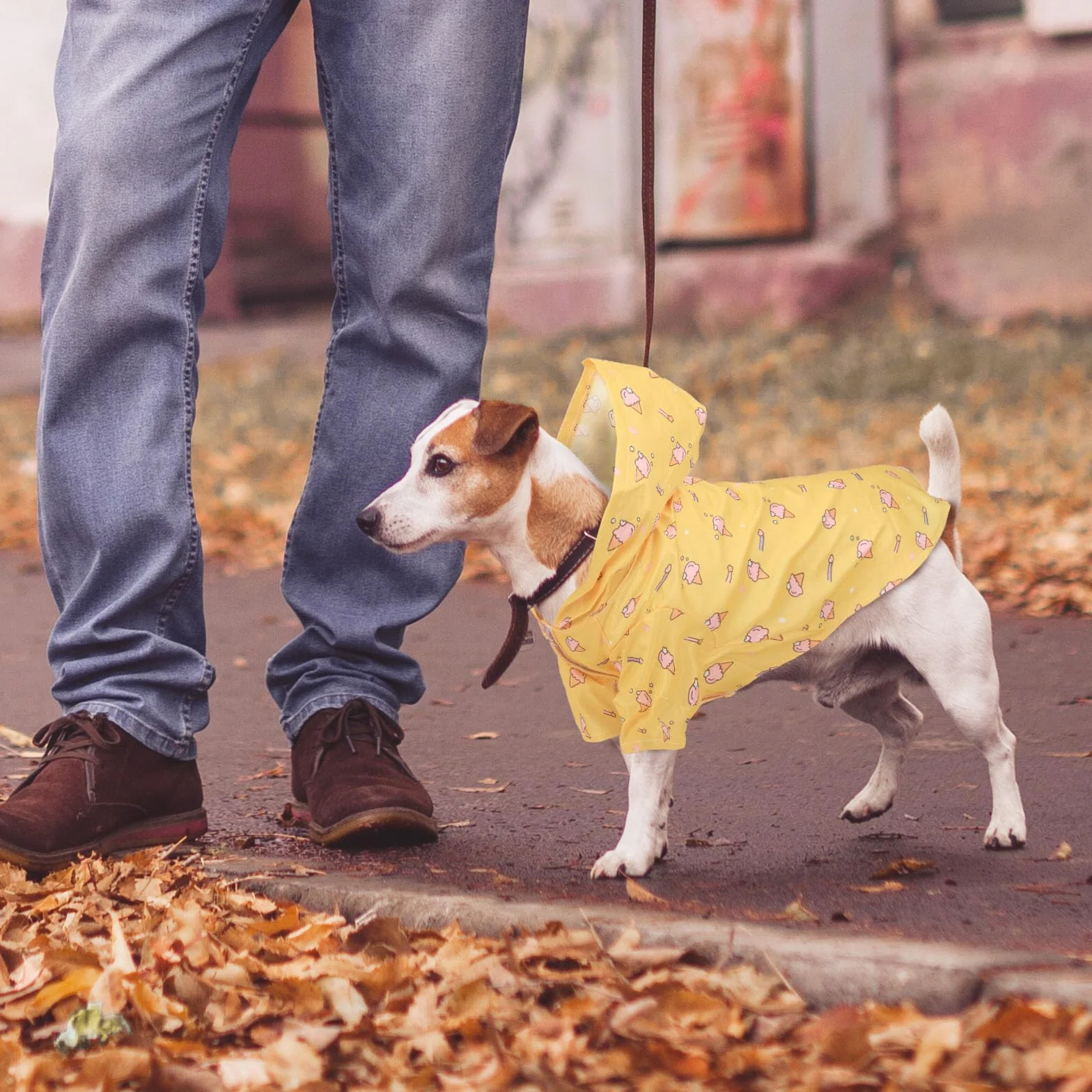 Lot de 2 Manteaux de Pluie imperméables et légers pour Chien avec Trou pour Harnais, Manteau de Pluie avec Capuche pour Chiens de Petite Taille 1-6kg (Jaune, M)