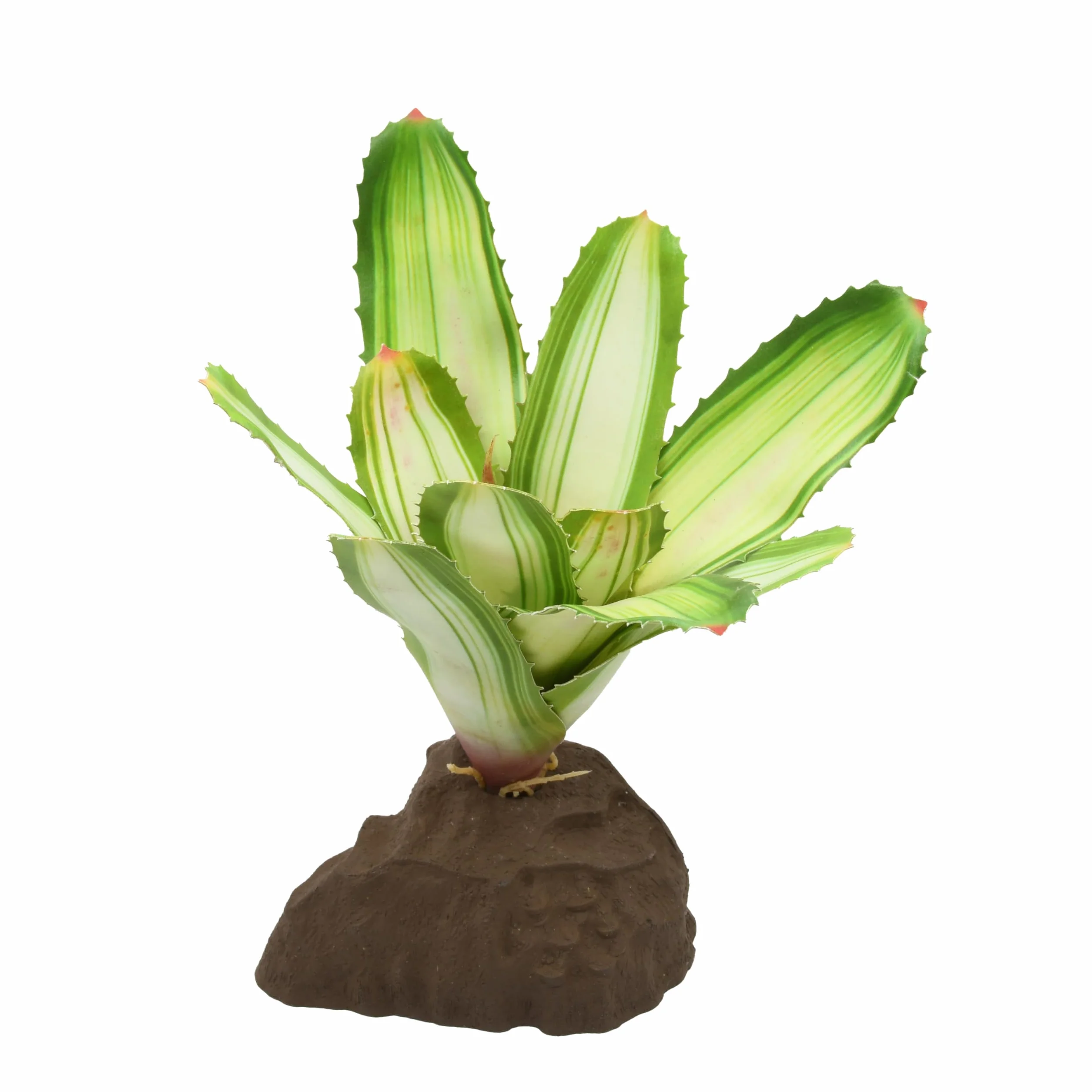 Lucky Reptile Scape it Easy Neoregelia Bromélia, plante décorative pour terrarium Blanc env. 20 cm