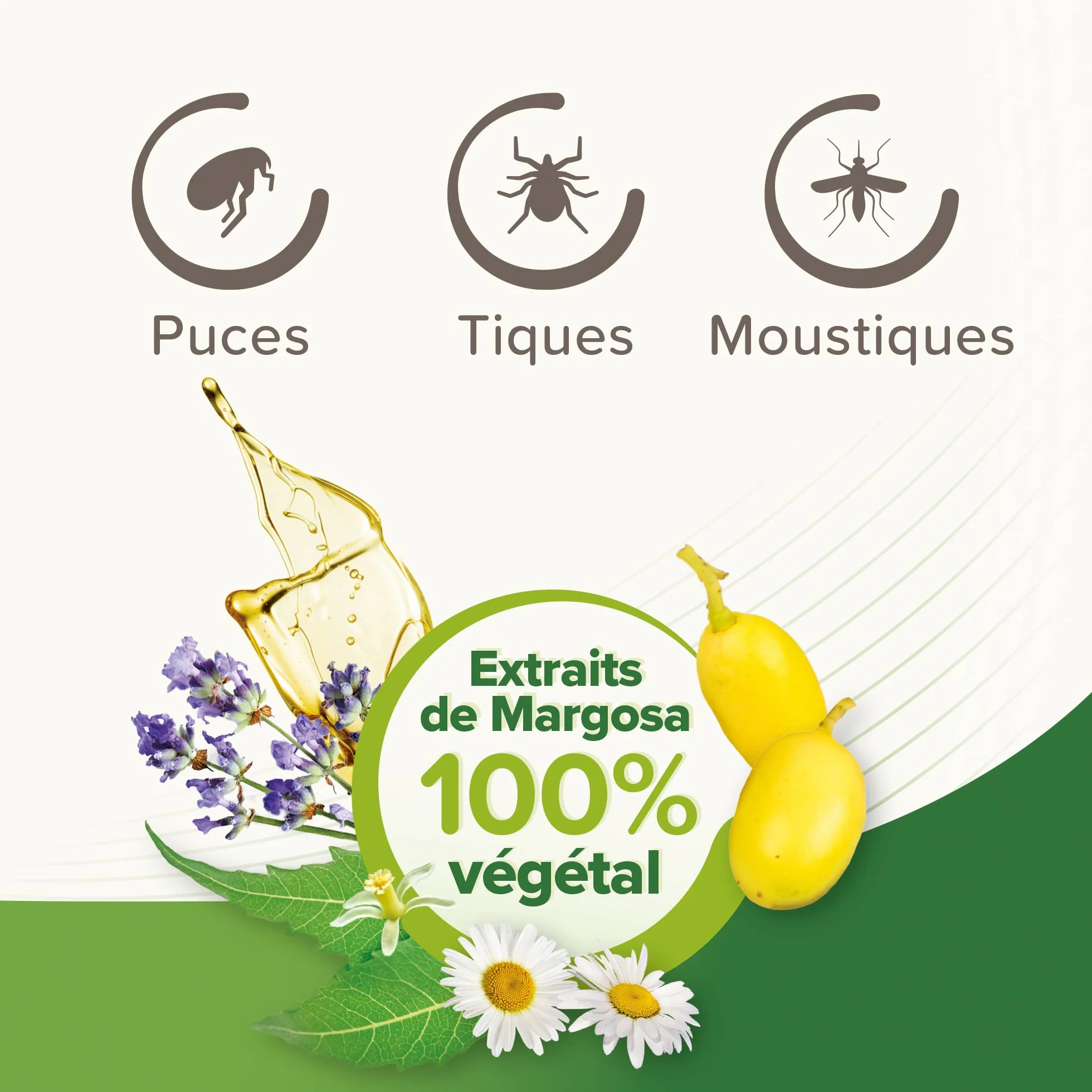 Beaphar VETOPURE Pipettes répulsives antiparasitaires pour Chaton Extraits de Margosa Protection 3 Mois 3 pipettes