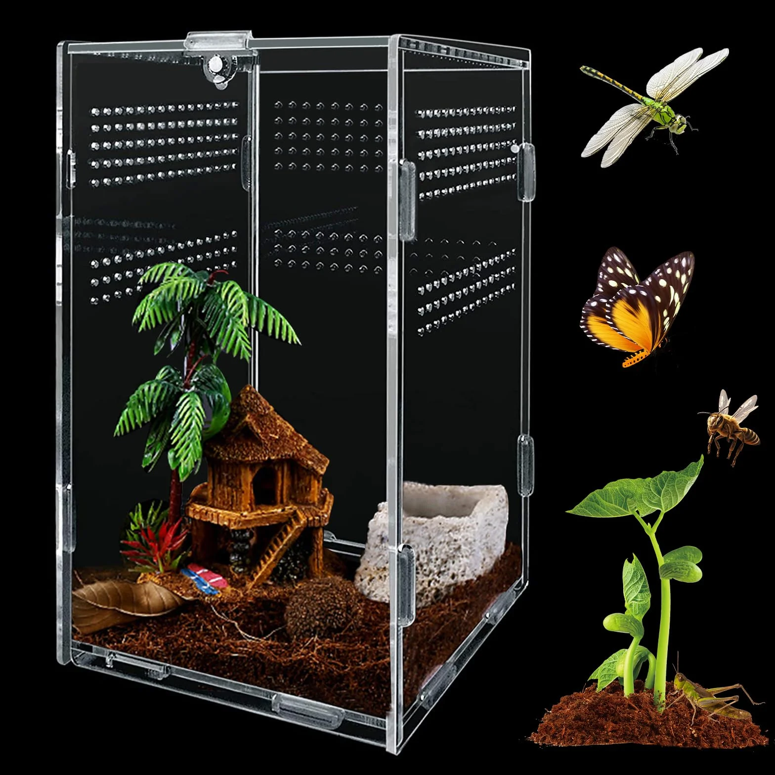 Boîte d'alimentation en Acrylique 12x12x20cm Transparent pour Reptiles avec Trous d'air
