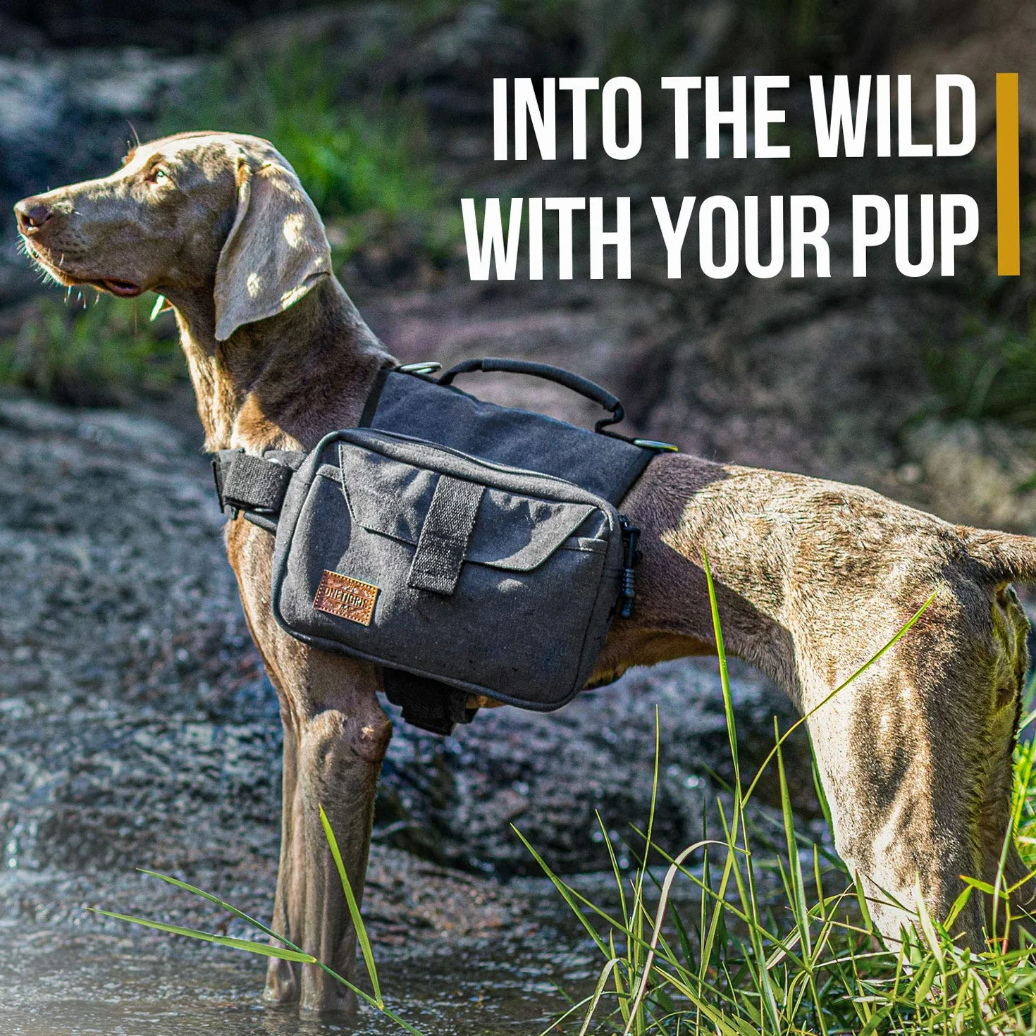 OneTigris Hoppy Camper 2,0 Sac à Dos pour Chien Camping Randonnée Taille M/L