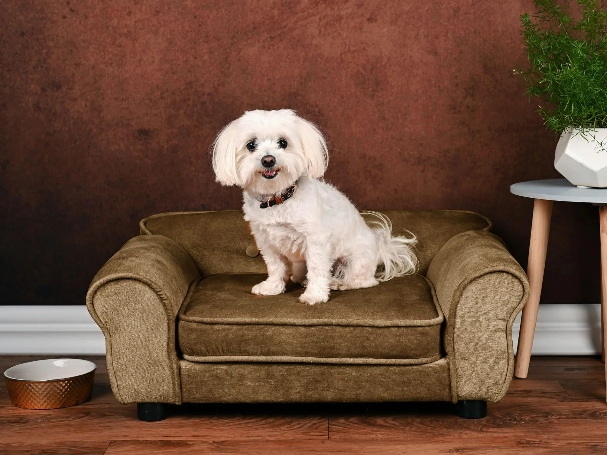 MG Design Canapé pour Chien et Chat Marron Structure en Bois Assise rembourrée Facile à Nettoyer