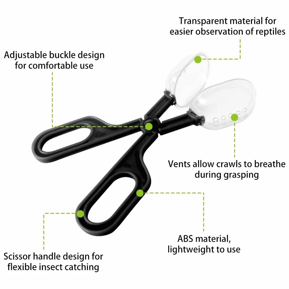 Kit d'outils d'alimentation pour Reptiles, Pince de Capture Transparente pour Hamsters, Gecko, Lézard