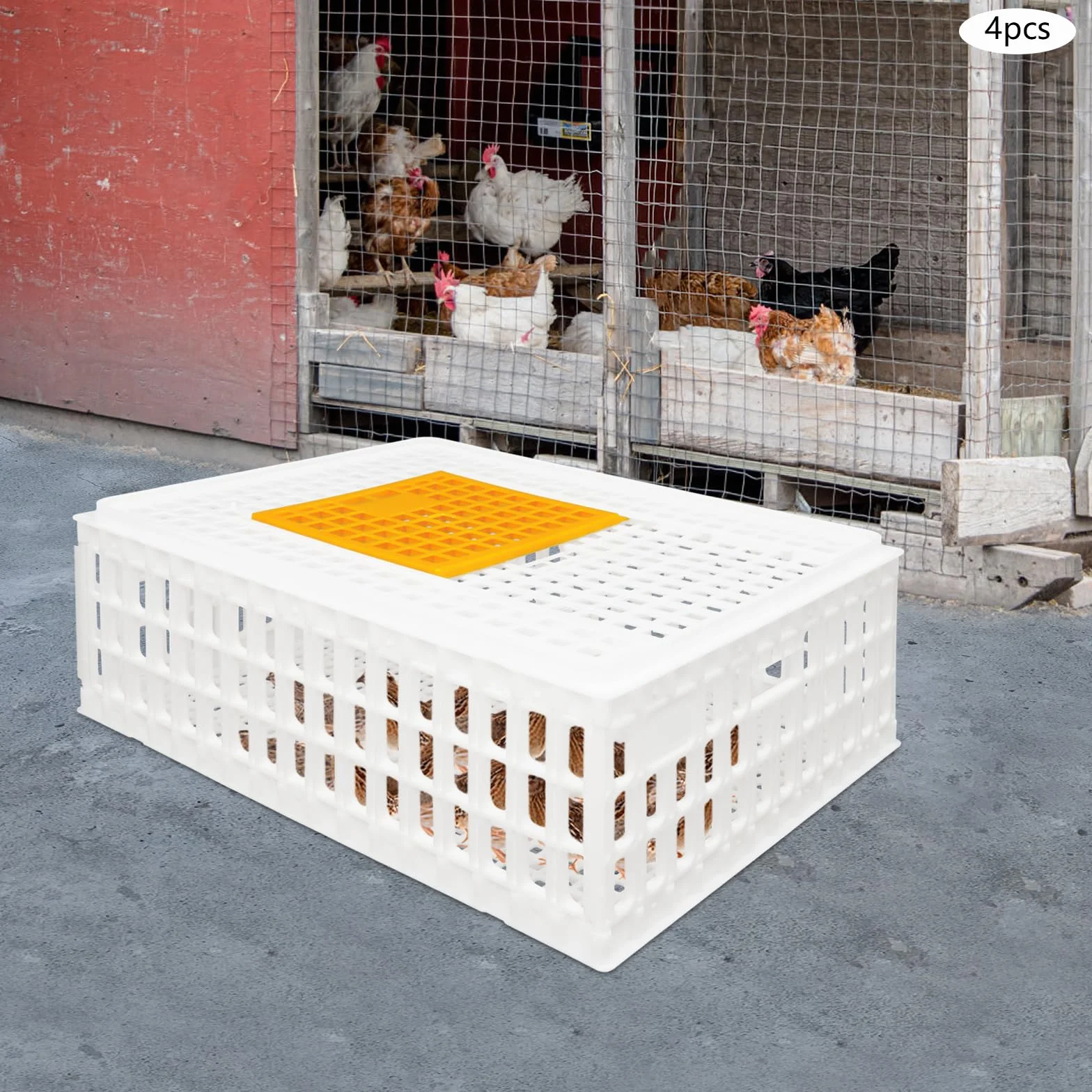 Lot de 4 caisses de transport pour volaille 77 x 55,5 x 27 cm - Capacité de charge 200 kg - Extra robuste