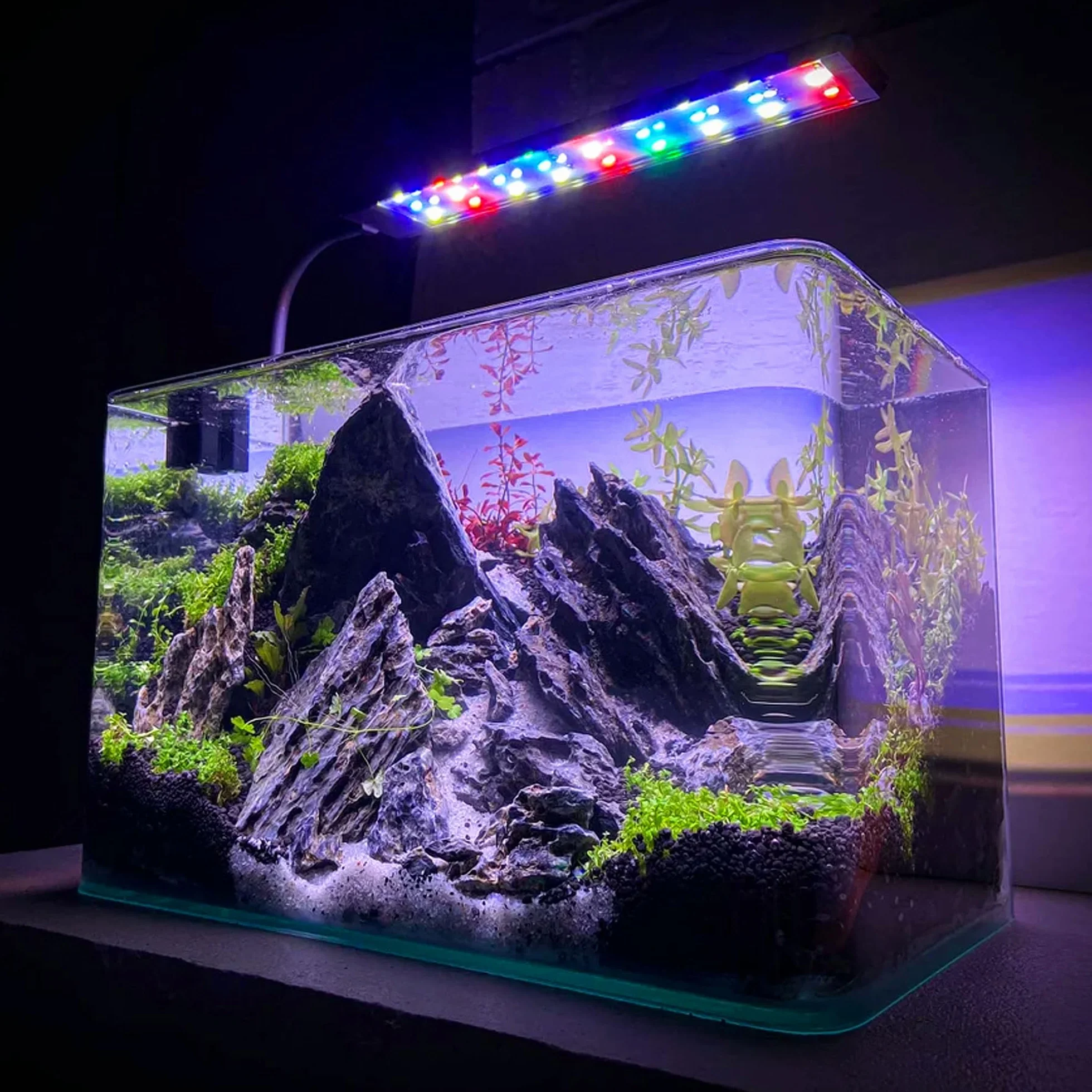 Roches Seiryu naturelles 15,2-20,3 cm pour aquarium aquascaping décoration