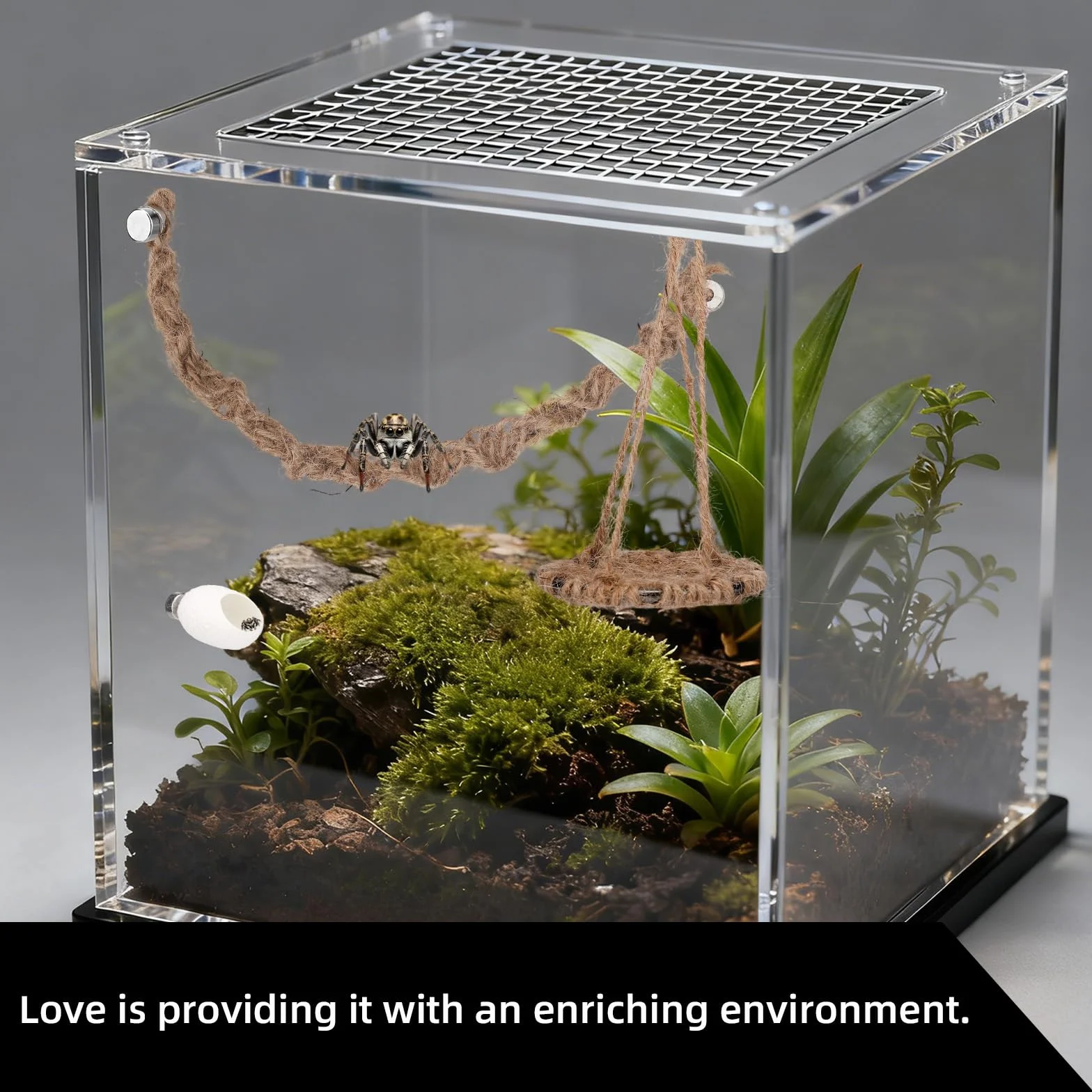 3pcs Ensemble de Accessoires pour Terrarium Araignée Sauteuse, Balançoire en Corde Coton Balançoire Plateforme et Nid avec Aimants pour Décoration Terrarium Araignée Sauteuse Taille Moyenne