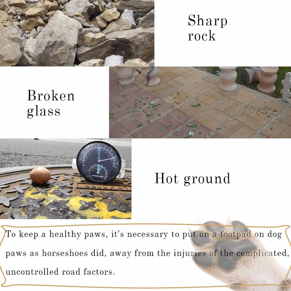 Lot de 8 patins adhésifs pour pattes de chien – Protection animal de compagnie pour activités de plein air