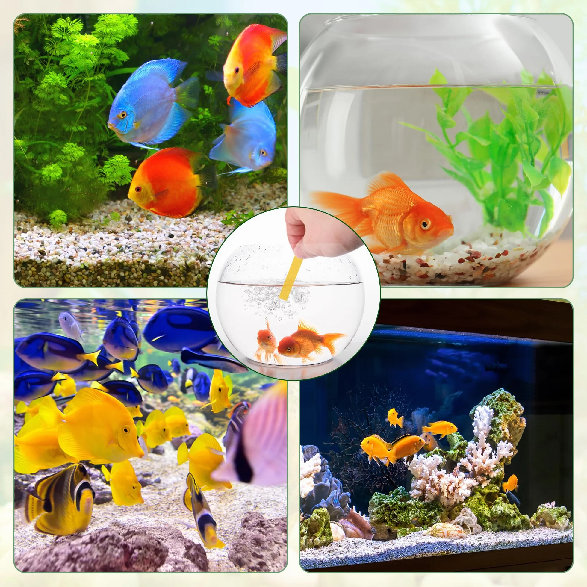 Kit Aquarium 6 en 1 Acier Inoxydable Pince Ciseau Épuisette Accessoires Aquarium Argenté
