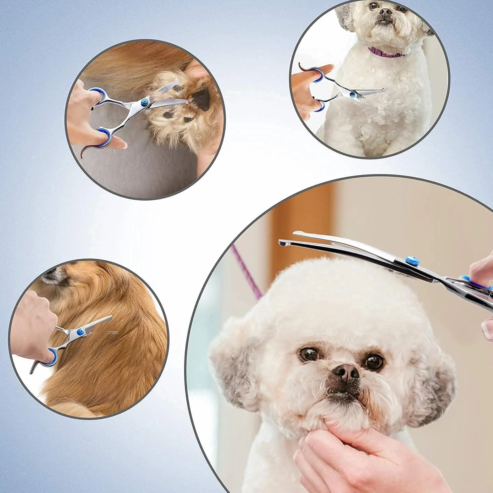 Professionnel Ciseaux Toilettage Chien, Lot de 2 Ensemble de Ciseaux de Toilettage pour Chien, Ciseaux Toilettage pour Animaux avec Embouts de Sécurité Ronds pour Chiens, Chats Cheveux Salon