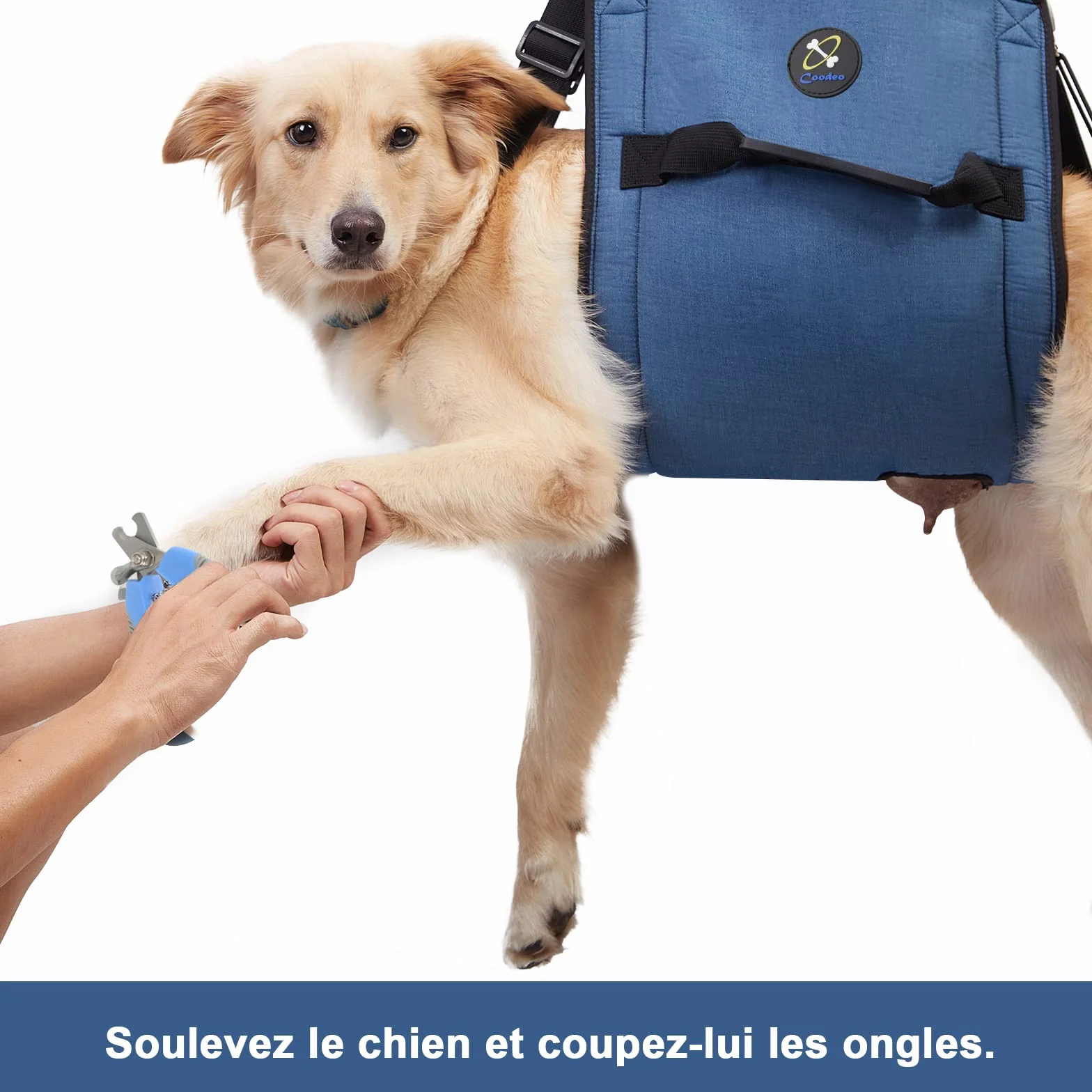 COODEO Porteur pour Chien Sling, Sac à Dos d'urgence pour Soutien des Pattes, Harnais de Levage pour Chiens âgés arthrite (XL, Bleu)