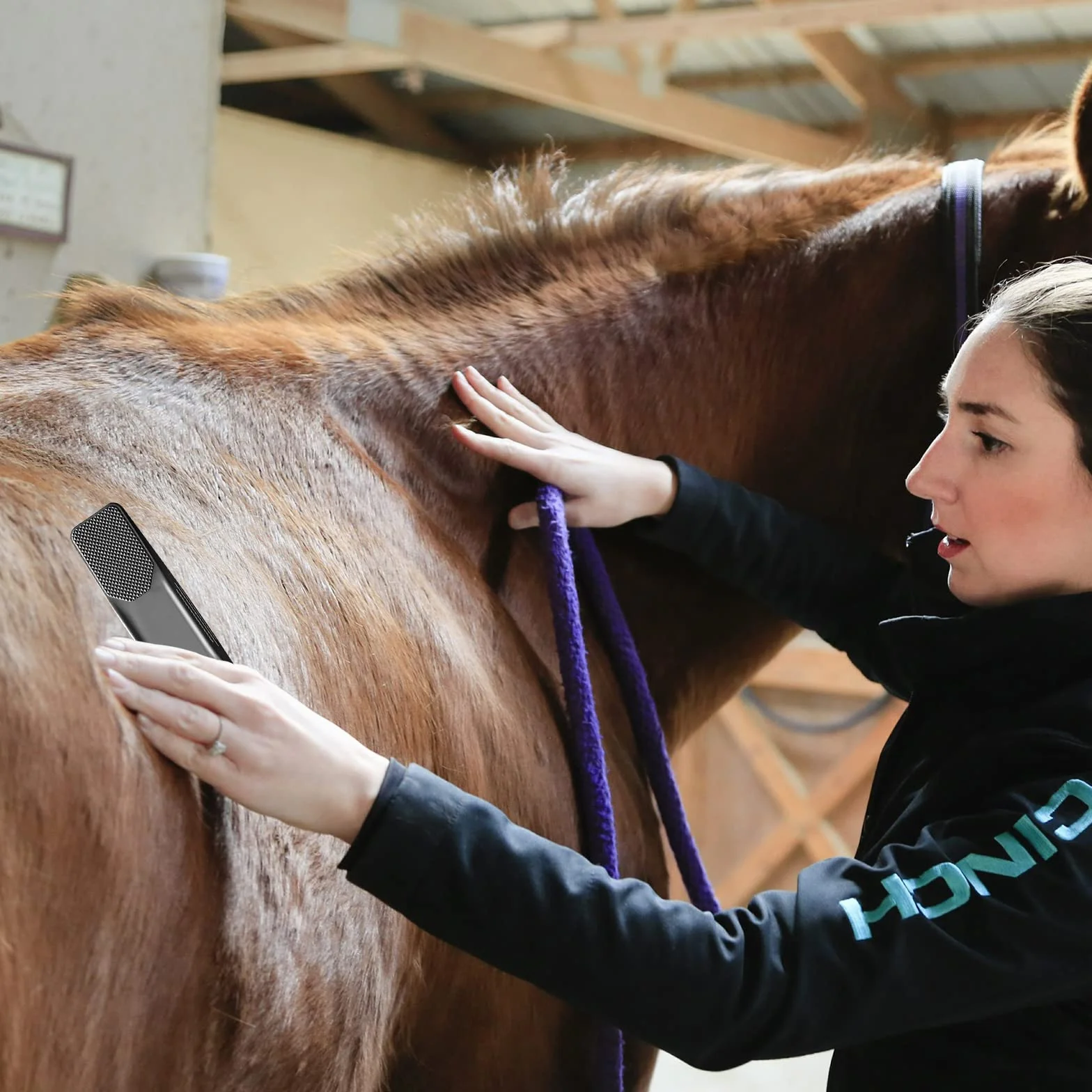 Brosse de massage pour chevaux Peigne élimine poils morts fourrure saleté