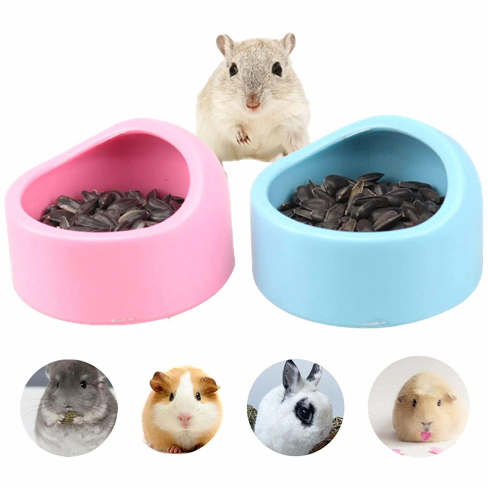 Gamelle pour Hamster Bols Anti-Morsure 2 Pièces Bleu et Rose