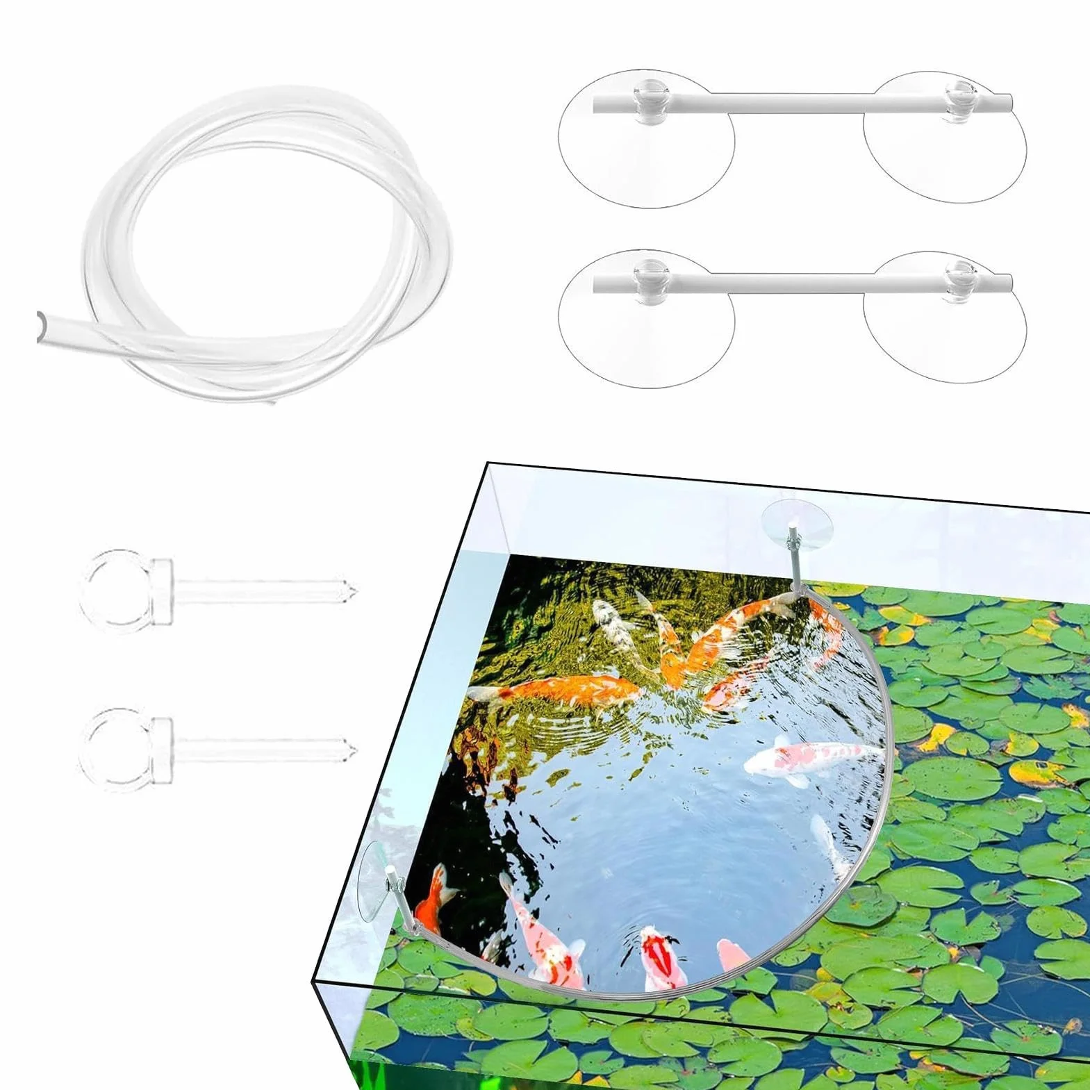 Anneau flottant pour plantes d'aquarium - Accessoire de protection et alimentation