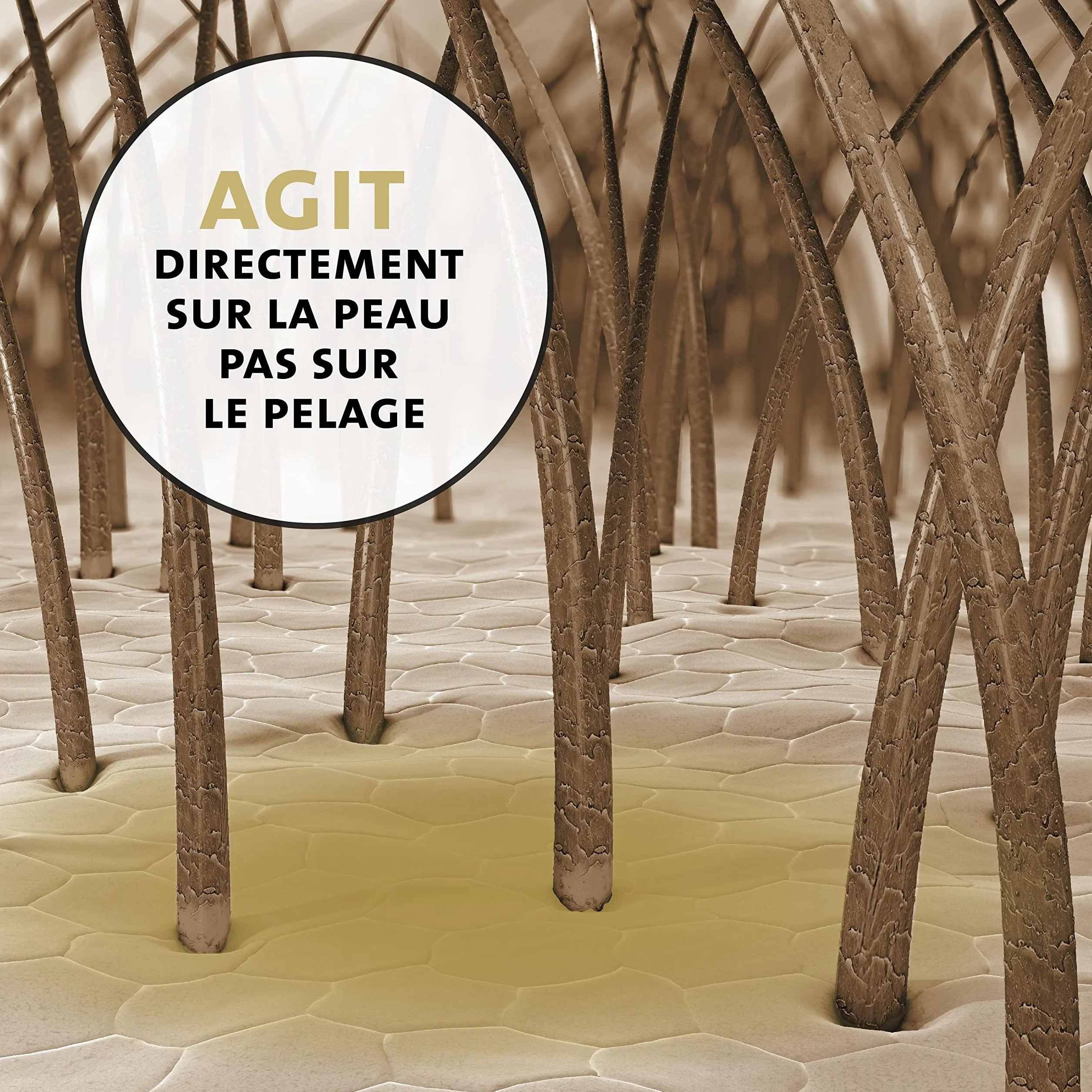 Peticare Poudre Spéciale Soin Plaies pour Chiens, Chevaux, Chats - 100% Zéolithe