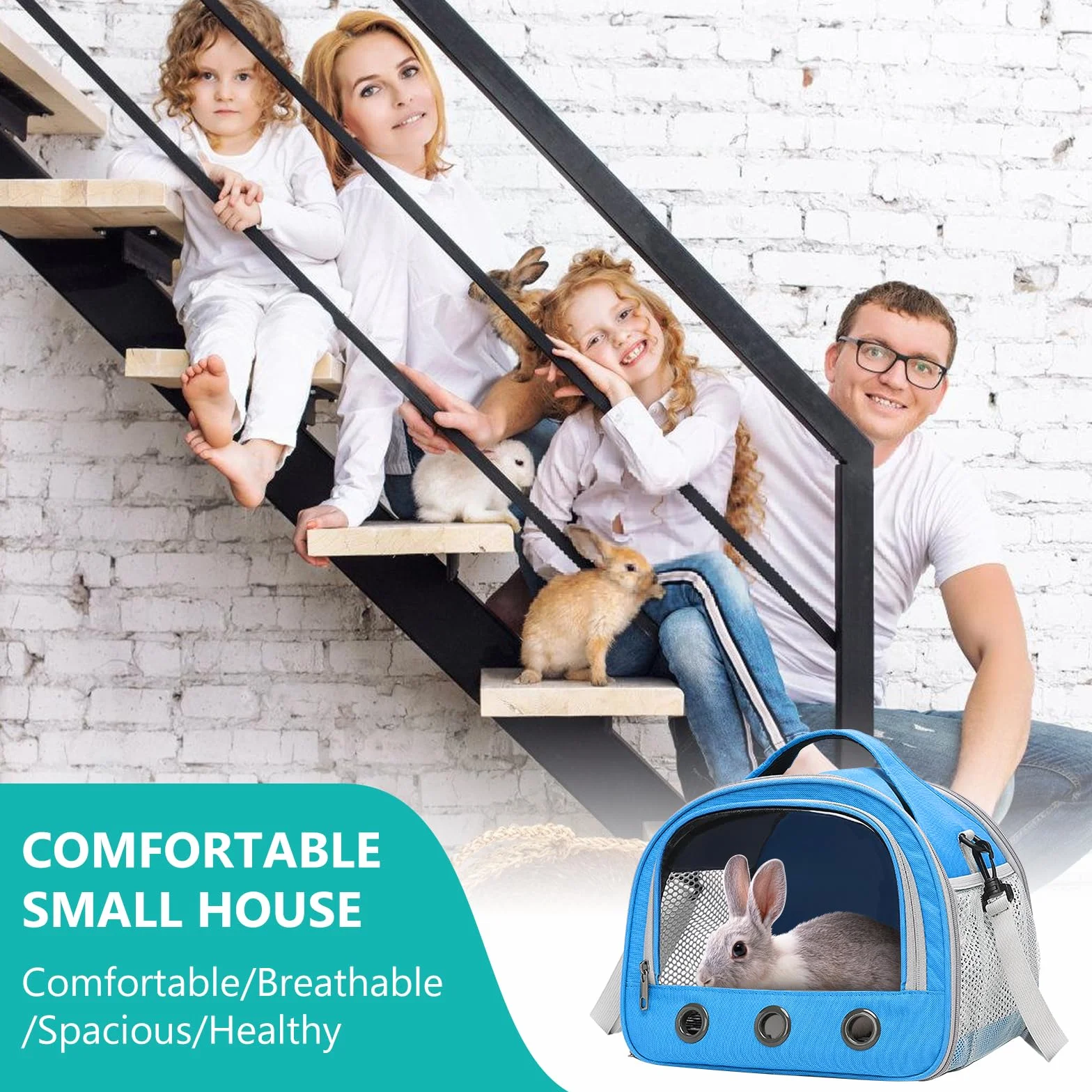 Sac De Transport pour Petits Animaux 30x27x21 cm Cage Portable Oiseaux Rats Bleu