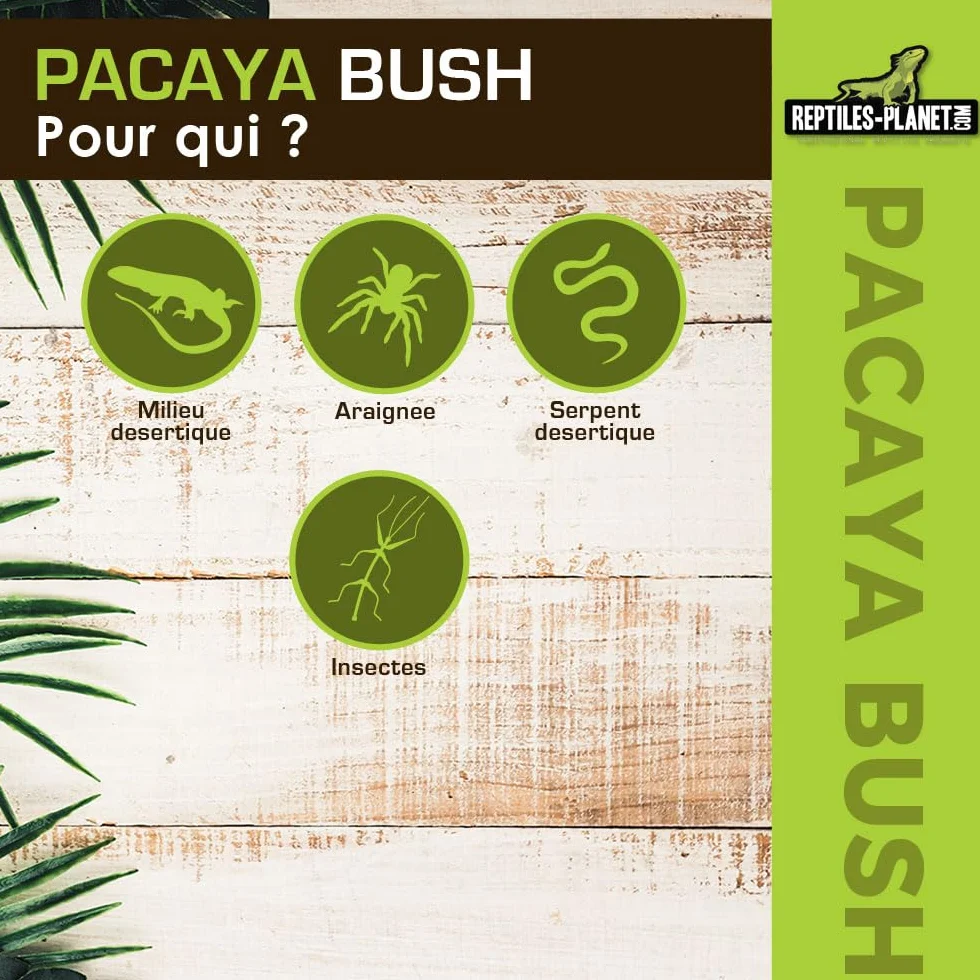 REPTILES PLANET - Pacaya Bush- Plante Artificielle - Décoration pour Terrarium - 20 cm