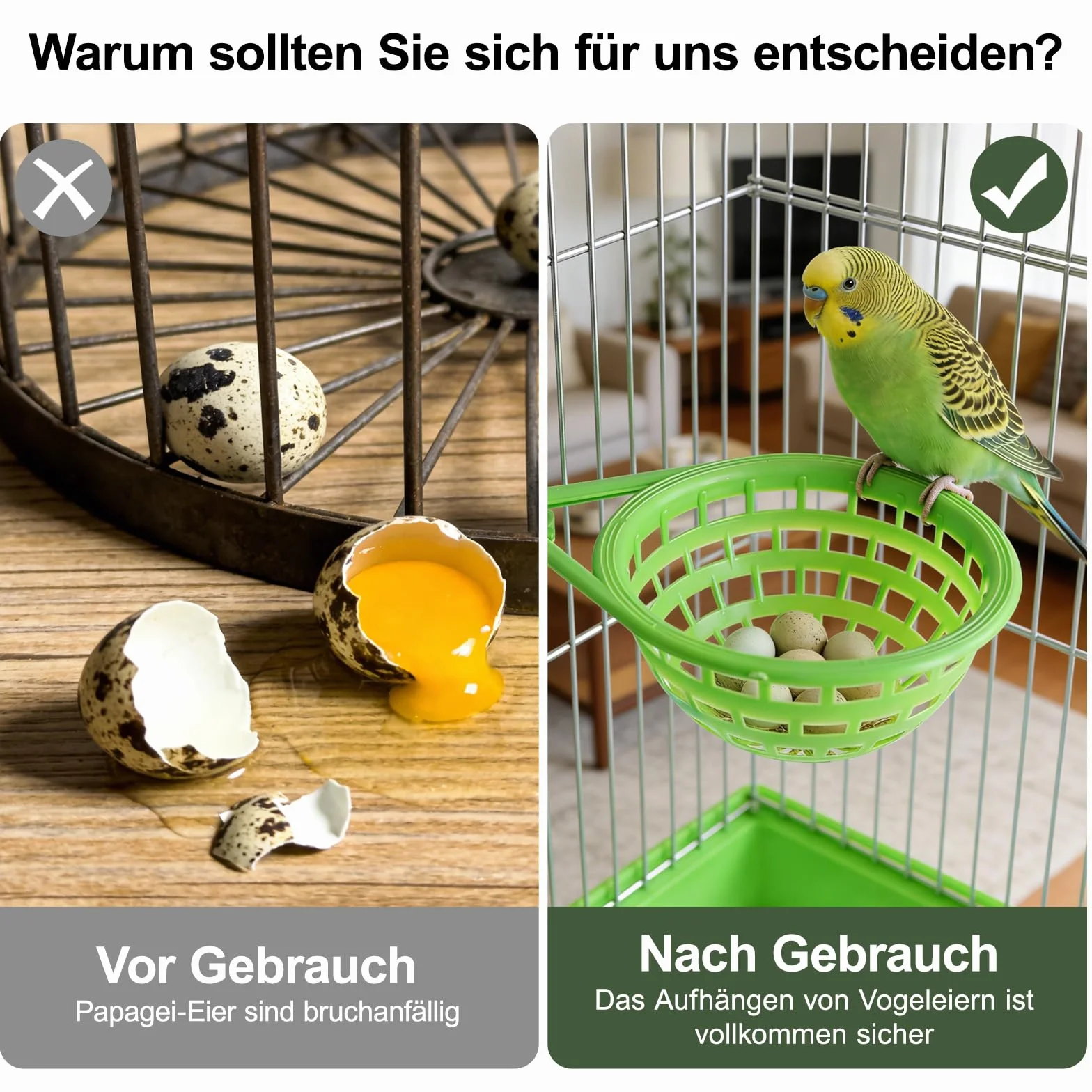 LATRAT Cage à Suspendre en Plastique pour Canaris Perroquet Pigeon Lot de 2