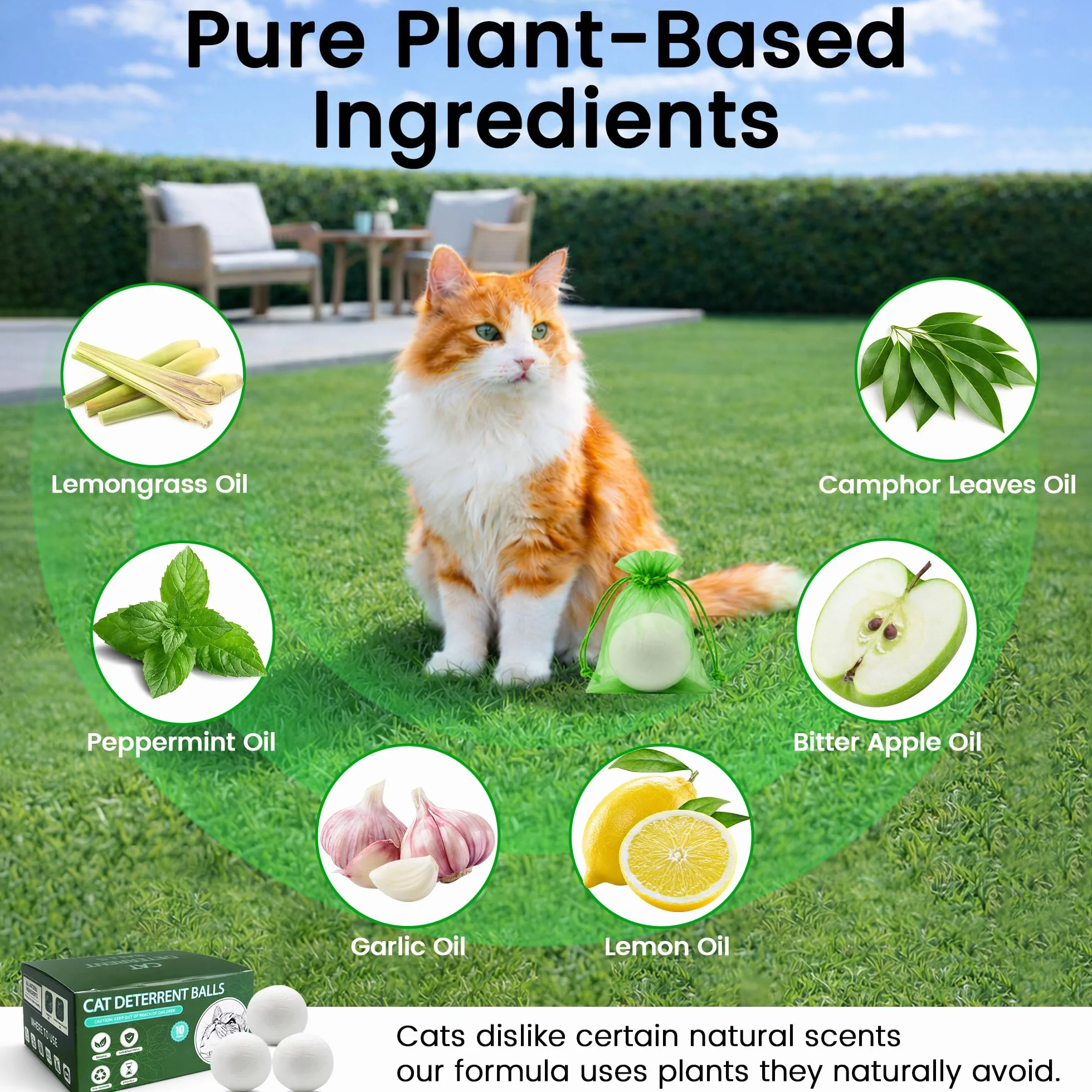 Lot de 10 balles répulsives naturelles pour chat – Non toxique, intérieur et extérieur
