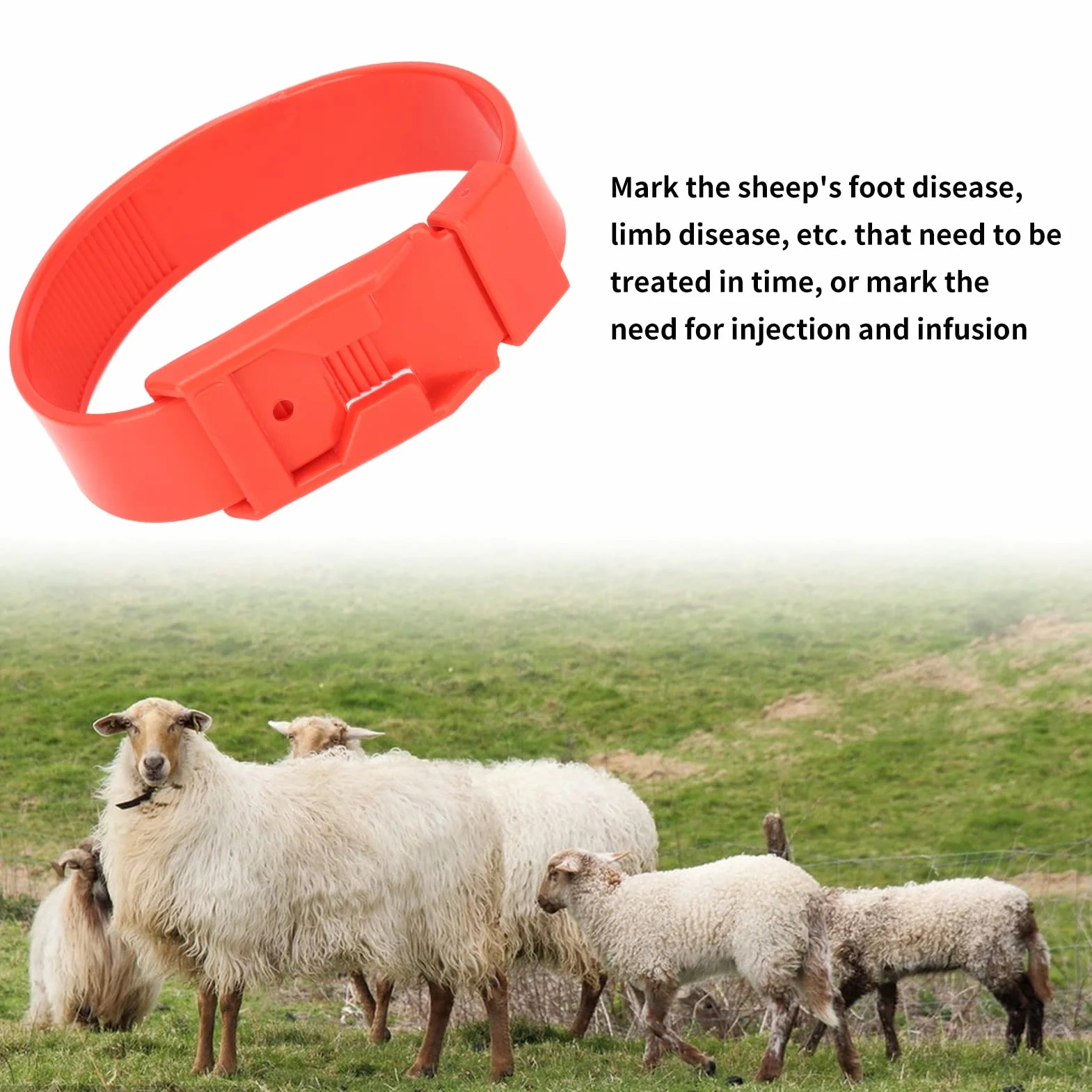 Colliers d'Identification pour Chèvres et Moutons, Bandes de Marquage de Bétail, Rouge, 36 cm, 10 Pièces, pour Petits Animaux de Ferme