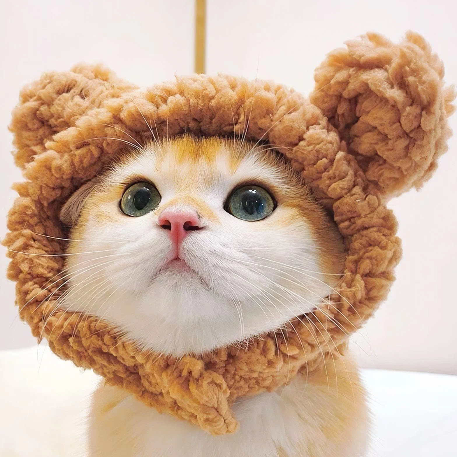 Chapeaux De Chat En Forme D'Ours 2 Pièces, Accessoires De Déguisement Pour Animaux De Compagnie
