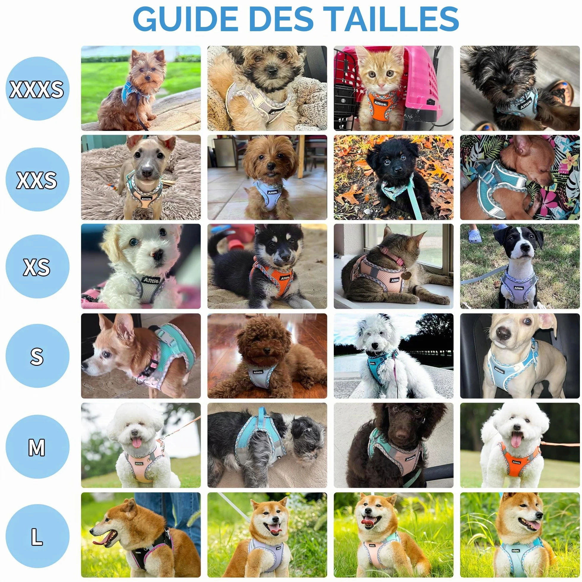 Ensemble Harnais et Laisse pour Chien Promenade, Harnais Chiot Bandes réfléchissantes, très Petits Chiens Chats Marron-Beige XXXS
