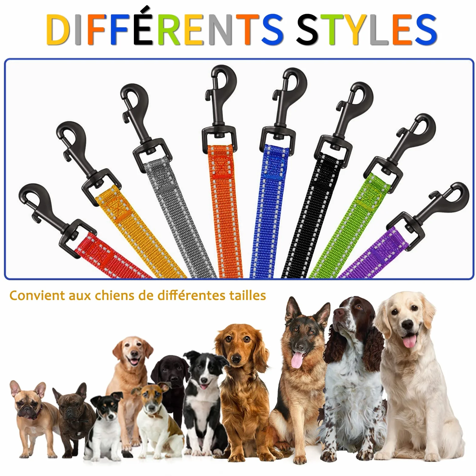 COMSLE Longe pour Chien Réfléchissante 3m 5m 10m 15m 20m avec Poignée Rembourrée
