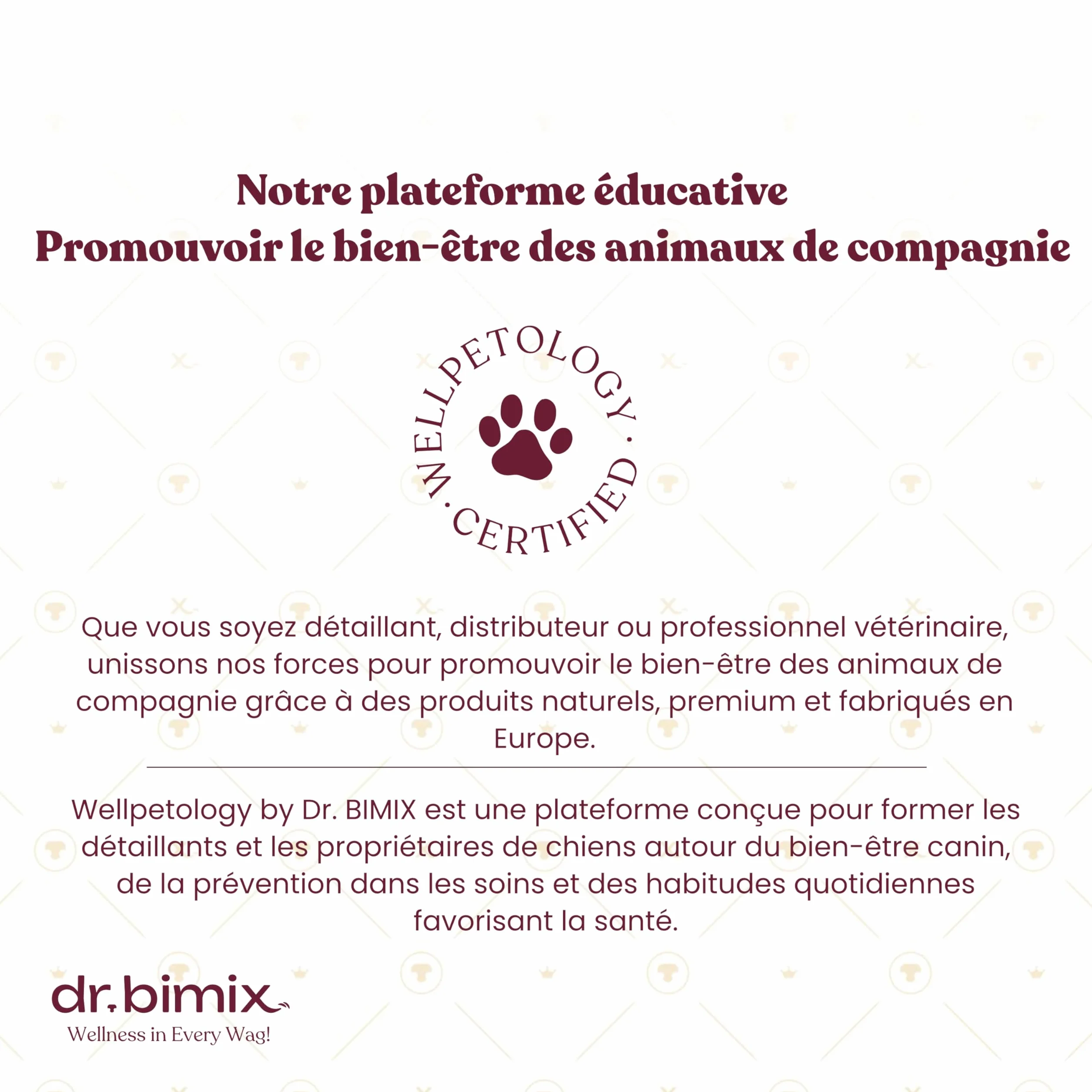 Pattes de Canard pour Chiens Friandises Naturelles Riches en protéines collagène 450 g