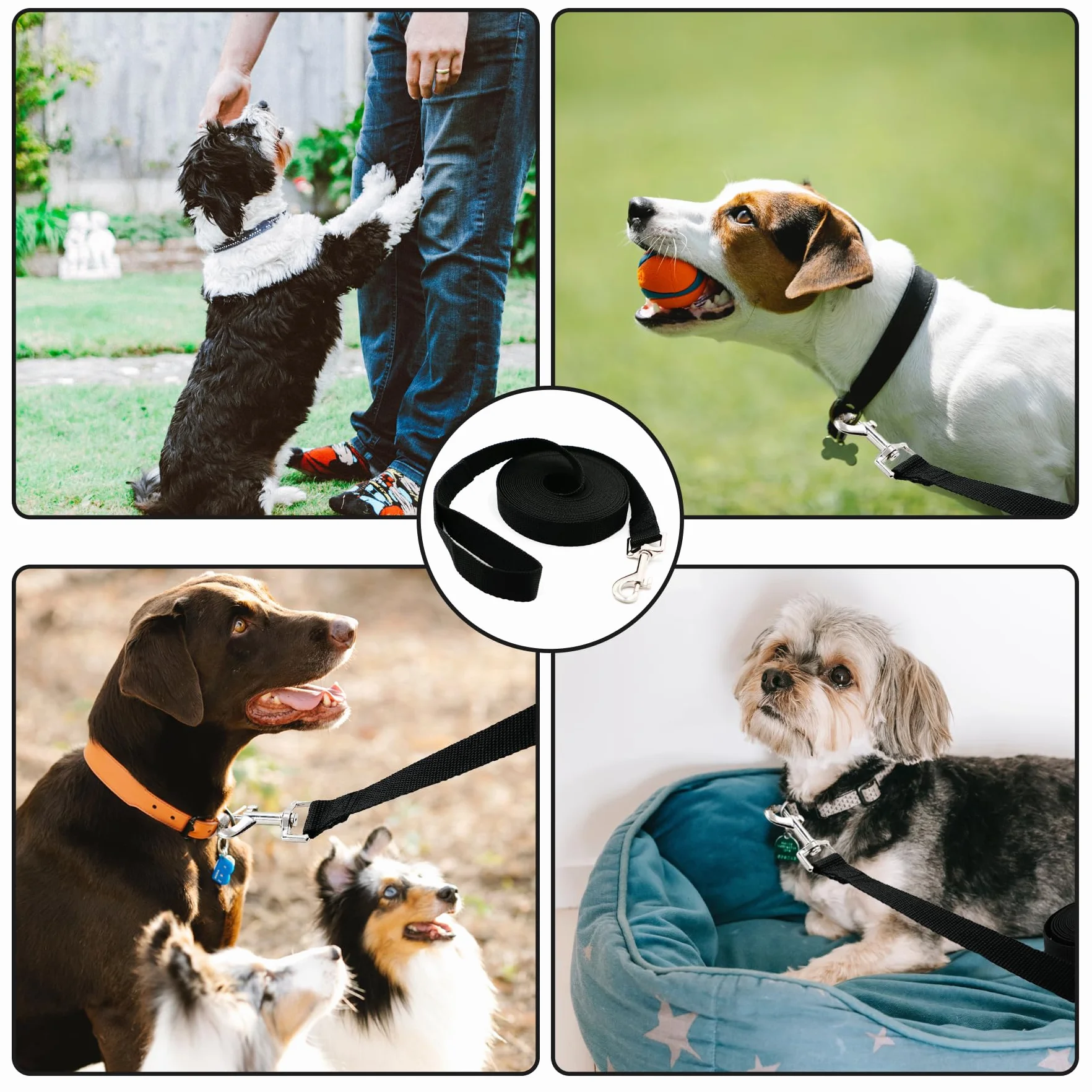 Laisse pour chien 5 m de CiciIng, Laisse imperméable avec dragonne et mousqueton à 360°, Laisse robuste pour l'entraînement pour chiens de petite, moyenne et grande taille