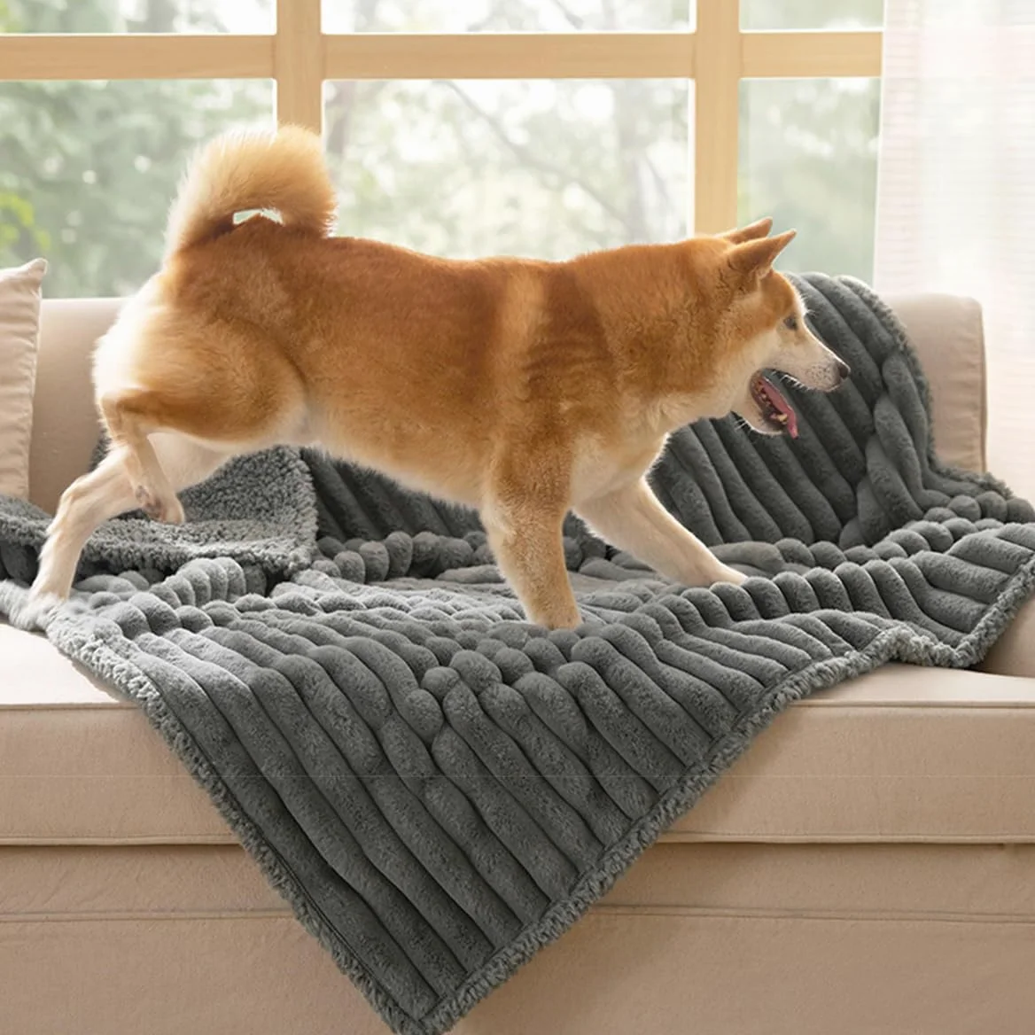 Couverture imperméable en polaire sherpa lavable pour animal de compagnie de taille moyenne et grande pour canapé, lit et protection de siège de voiture - Jeté en peluche douce pour chiot et chaton