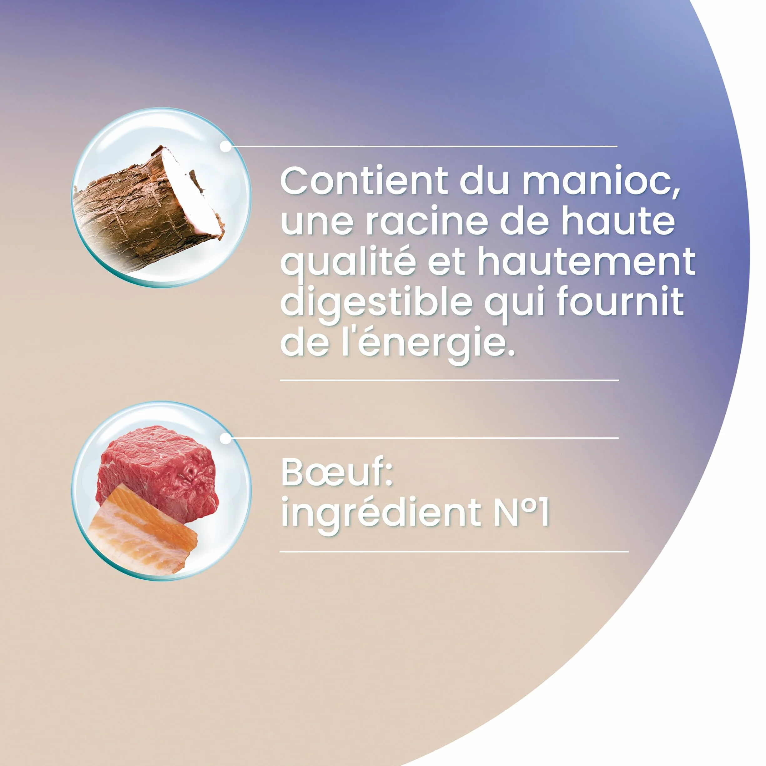 PURINA ONE Croquettes sans Céréales au Boeuf pour Chat Adulte Stérilisé 1,1kg